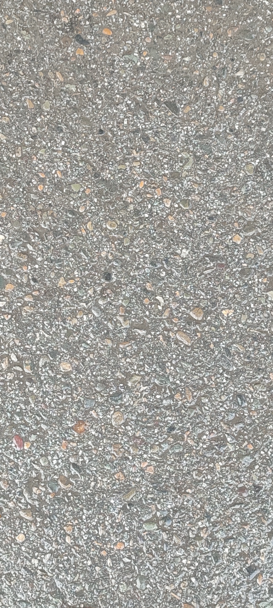 The image shows a close-up, top-down view of asphalt or concrete paving, characterized by a dense aggregate of small, irregularly shaped stones and pebbles embedded in a darker matrix. The stones vary in color, including shades of grey, white, tan, and some with reddish or greenish hues. The texture is rough and granular. There are no people, animals, or discernible objects other than the paving material itself. The environment appears to be an outdoor urban surface, likely a sidewalk, road, or pathway. The specific location within Novoaltaysk, Russia, cannot be determined from the visual information provided, as the image solely depicts a generic paving surface.