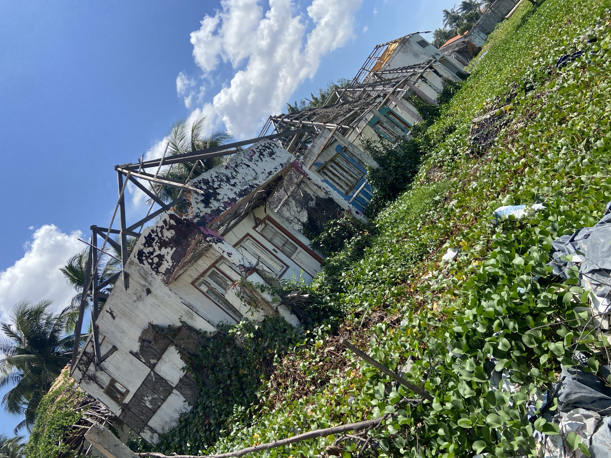 The image depicts the aftermath of a natural disaster, likely a storm or flood, in Phu Thuy Ward, Vietnam. A row of houses, constructed on a steep incline and partially submerged or collapsed, are visible. The houses, characterized by their white exteriors with some checkered patterns and red or blue window frames, show significant structural damage. Roofs are partially missing, exposing wooden beams and metal supports. Vegetation, primarily lush green vines and palm trees, encroaches upon and surrounds the damaged structures, indicating a tropical environment. The sky is a clear blue with scattered white clouds. Evidence of debris, including plastic bags and other refuse, is present on the ground amidst the vegetation. The overall scene conveys a sense of devastation and the struggle of nature reclaiming man-made structures.