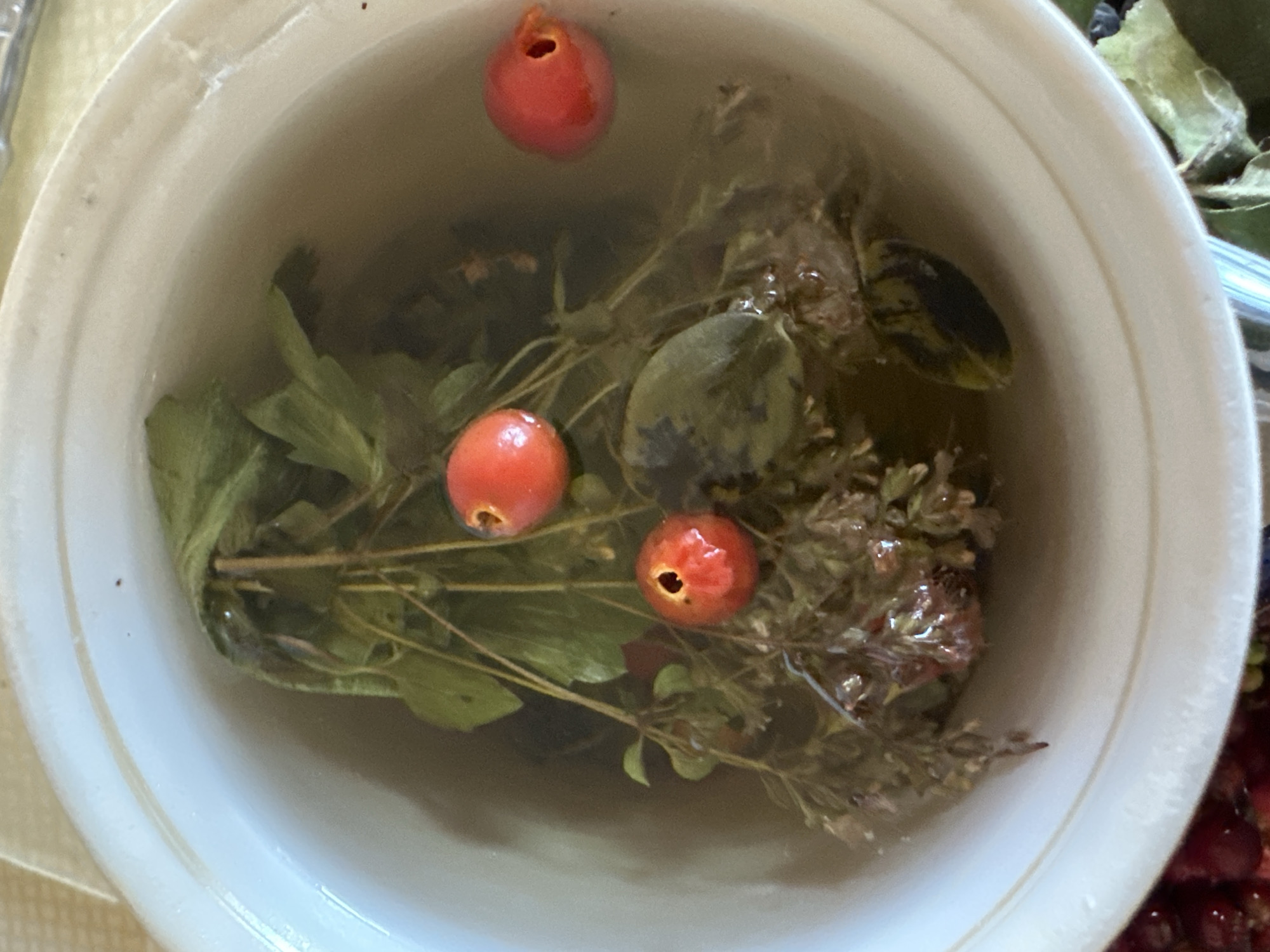 This is a close-up, top-down shot of red berries and green leaves submerged in clear water within a white ceramic bowl. The bowl has a wide rim and appears to be sitting on a light-colored, textured surface, possibly a tablecloth. Several red berries, some with a small hole in them, are visible among the foliage. The leaves are various shades of green and brown, with some appearing wilted. The water is slightly murky, suggesting it may be infused with the contents. The scene is indoors, with no discernible city or geographical context from the image itself. The specific location in Biysk, Russia, cannot be determined from the provided visual information.