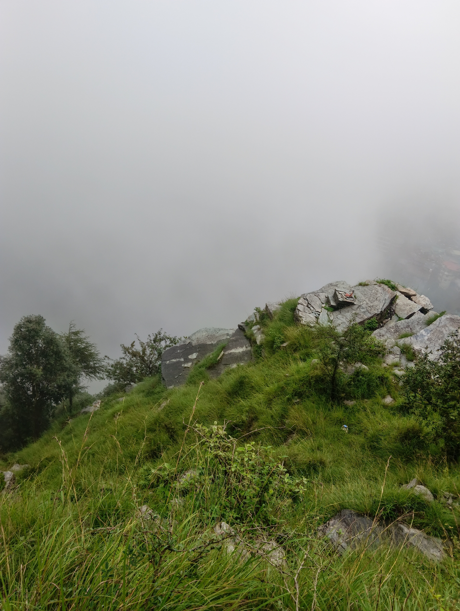 The image shows a rocky, grassy hillside in Bhagsu, India, shrouded in thick fog. The foreground is dominated by lush green grass, some of it tall and wild, interspersed with smaller plants and branches. Several large, grey rocks jut out from the landscape, some covered in patches of moss and greenery.
Further up the hill, there are trees with dense foliage. The fog obscures the background significantly, but hints of buildings and possibly a town or village can be discerned through the mist on the right side of the image. The overall atmosphere is serene and somewhat mysterious due to the heavy fog. No people or animals are visible in the image.