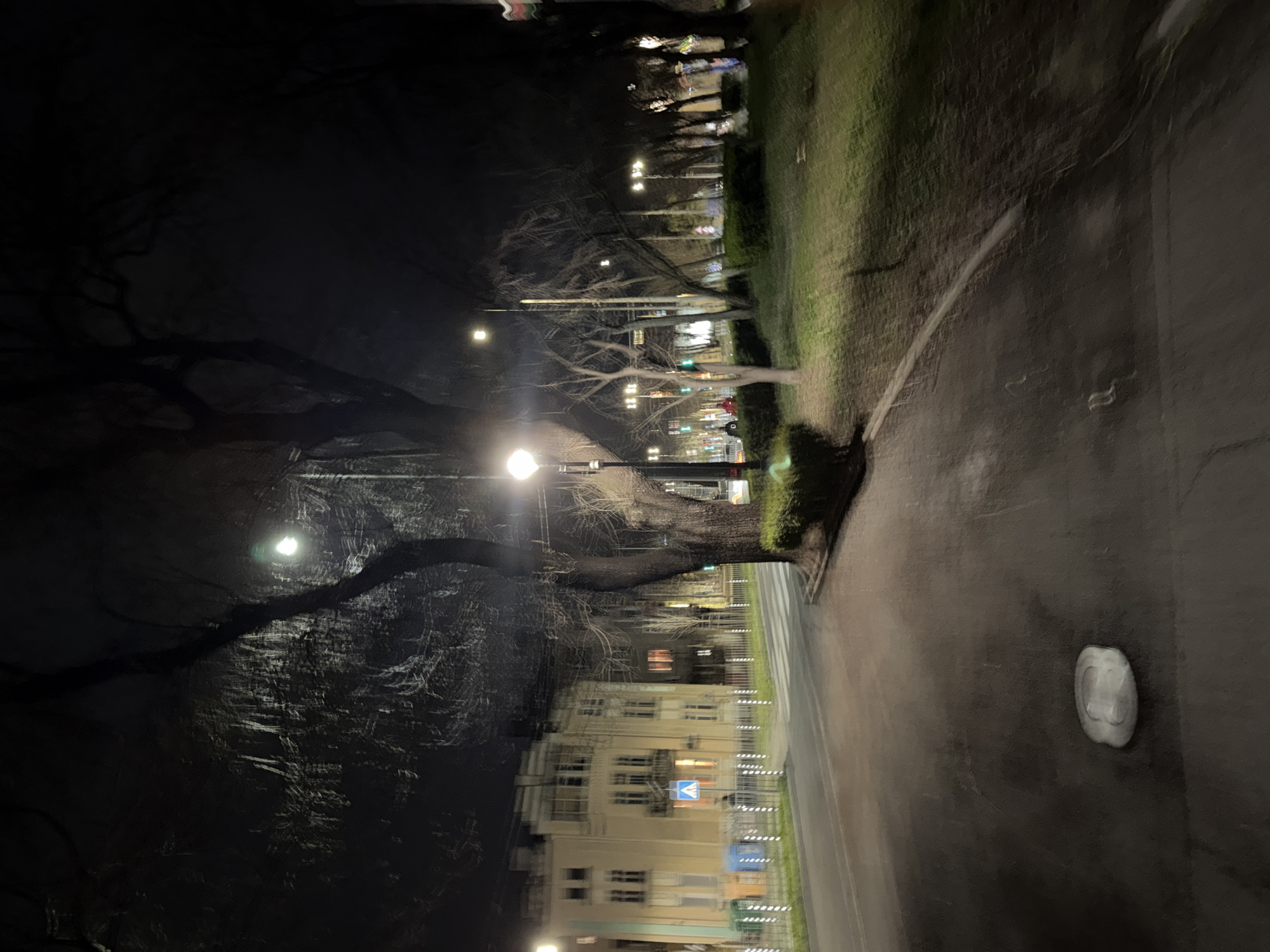 A nighttime scene depicts a street illuminated by streetlights, lined with trees. The street runs along a park or grassy area on one side and buildings on the other. The street surface appears wet and reflective. The image hints at urban life with building lights visible in the background. In the foreground, a road marker or reflector is present on the pavement. Based on the street signs and architectural style, this location is likely somewhere in Burgas, Bulgaria.