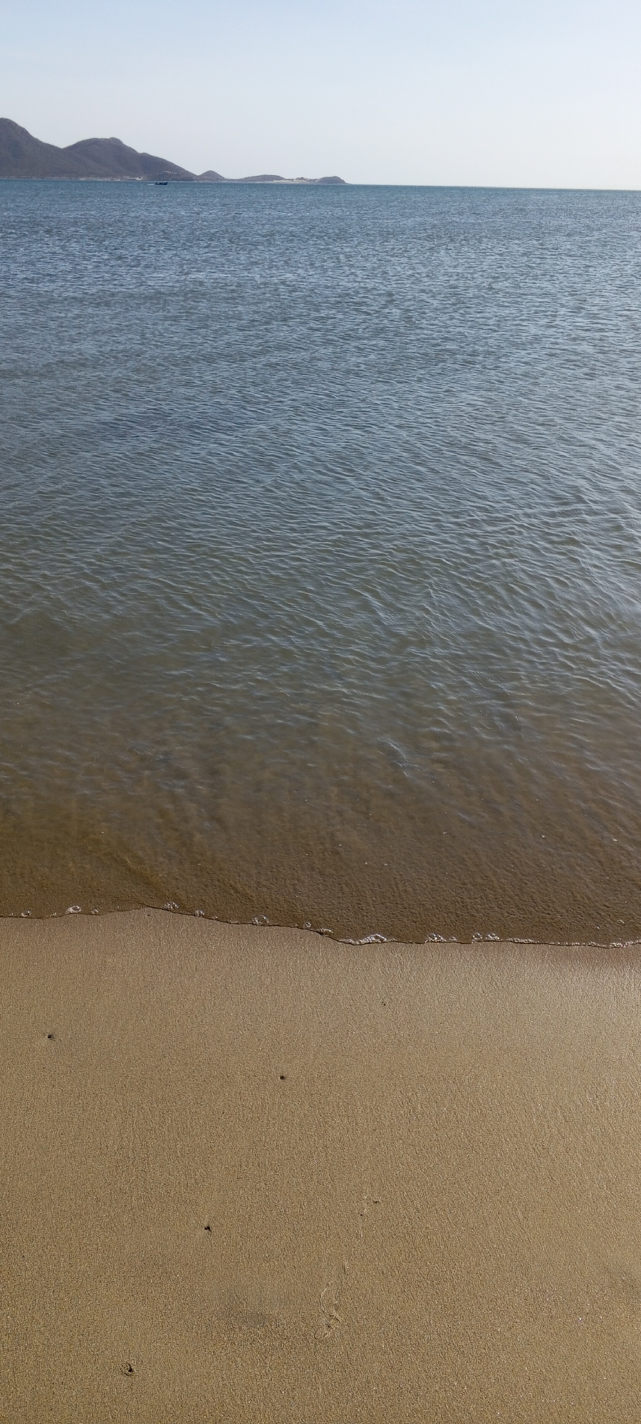 The image depicts a beach scene. The bottom portion of the frame is filled with tan sand. A line of small waves marks the transition from the sand to the water, which occupies the majority of the frame above the sand. The water changes in color from brown near the shore to blue as it extends towards the horizon. In the distance, a mountain range is visible under a clear, light blue sky. The exact location is unknown.