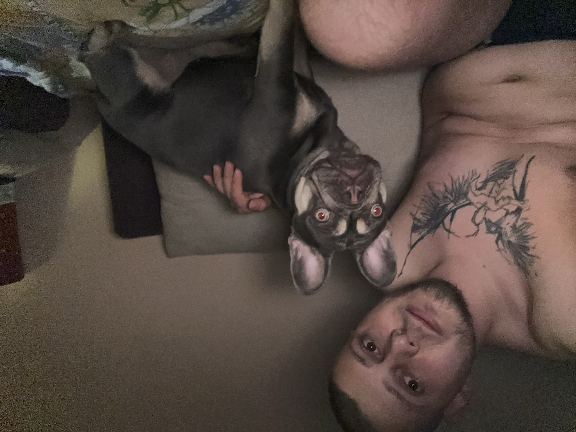 The image displays a man and a French bulldog lying together indoors, likely on a bed or couch, from an overhead perspective. The man is positioned on his back, looking directly towards the camera with a neutral expression, showing the upper part of his torso. He has a prominent dark tattoo covering his left upper chest and shoulder, featuring intricate floral or nature-inspired designs.
Beside the man, the French bulldog is also lying on its back, with its head inverted towards the camera, giving the appearance of being upside down. The dog has dark grey fur with lighter tan or brown markings around its eyes, muzzle, and paws. Its eyes glow red, indicating a "red-eye" effect from a camera flash, which suggests the photo was taken in a dimly lit environment. The dog's front paws are visible, slightly raised. The background shows soft, textured surfaces, consistent with bedding or upholstery. There is no visible text in the image.