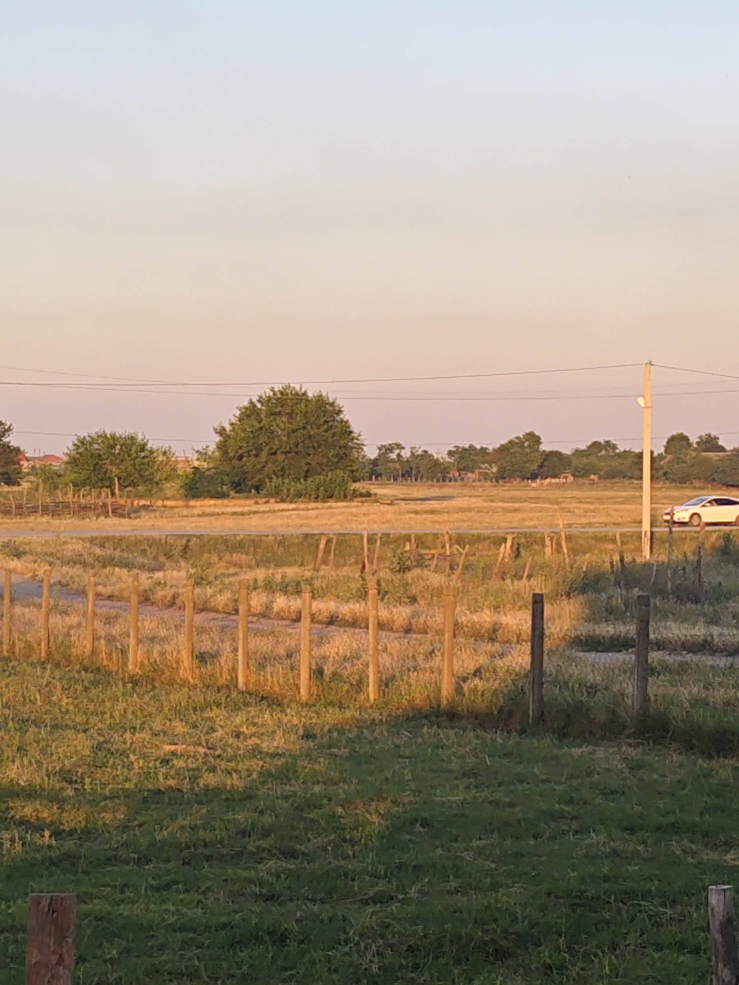 The image depicts a rural landscape at sunset. A white car is driving on a road that cuts through a field. The field is covered in dry grass and a wooden fence runs through it, separating it from a patch of greener grass in the foreground. In the background, there are trees and some buildings, suggesting a nearby settlement. The sky is a soft gradient of blue and pink, indicative of the time of day. There are no people visible in the image, and no text is present. The overall impression is one of peaceful twilight in a rural setting, possibly Kobi, Russia.