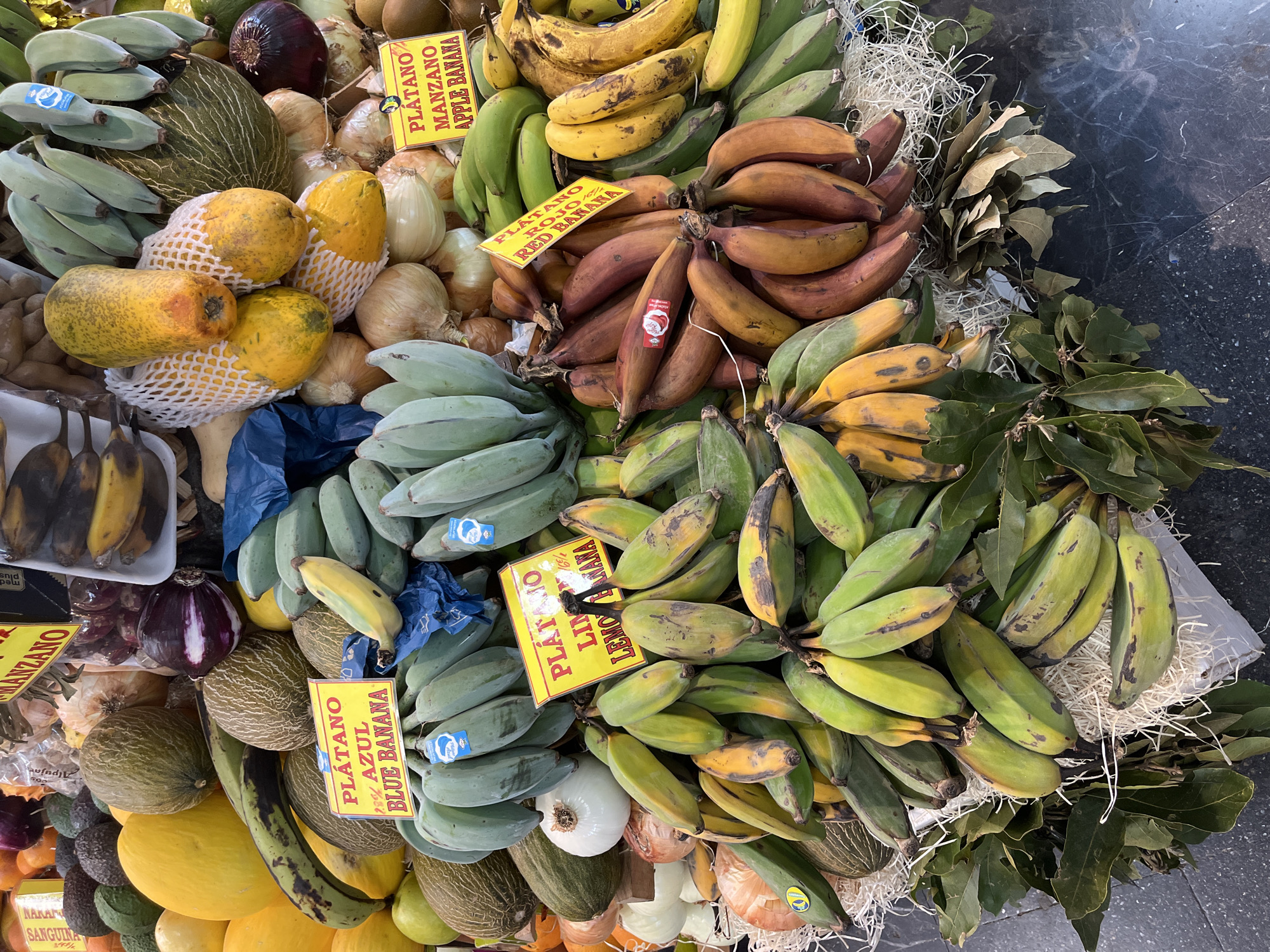 The image shows a fruit stand at what appears to be a market. The bananas are labeled with handwritten signs, likely in Spanish, denoting different types: "PLATANO MANZANO APPLE BANANA", "PLATANO ROJO RED BANANA", "PLÁTAMO LIM LEMONANA", and "PLATANO 28% AZUL BLUE BANANA". There are also other fruits and vegetables visible, including melons, papayas, and onions. One sign on the lower left is cut off, but the part that is visible, states "NAKAN SANGUINA" at a price of "390/600", which are some of the prices for the items. All of this indicates the location could be in a Spanish-speaking region. The image is taken in Las Palmas, Spain, considering the handwritten signs are in Spanish.