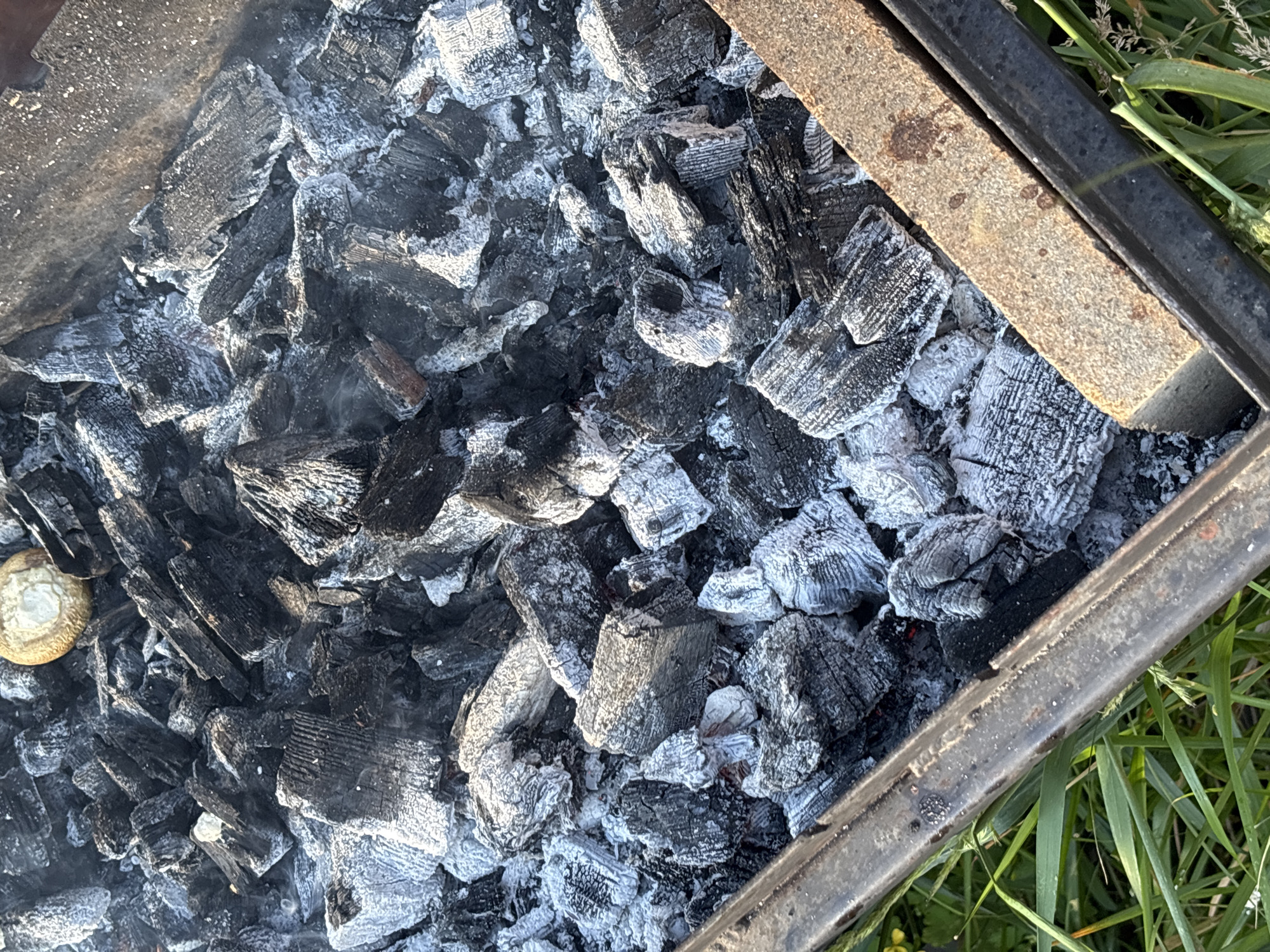 The image shows a close-up view of a charcoal grill filled with burnt charcoal and ash. A single piece of uncooked food, possibly a mushroom, rests on top of the coals in the upper portion of the image. The grill is positioned outdoors, with green grass visible below and to the sides. A rusty metal edge of the grill is prominent in the foreground. The scene appears to be in Novaya Usman, Russia, suggesting an outdoor cooking or barbecue setting. There are no people or other animals visible in the image. The lighting suggests it is daytime.