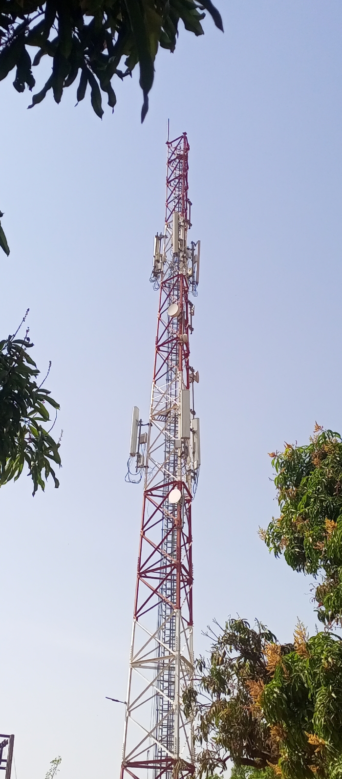 A telecommunication lattice tower stands against a clear, light blue sky in Barnawa, Nigeria. The tower, constructed from a metallic framework, features alternating sections of red and white paint. Multiple rectangular panel antennas are affixed at various heights along the tower, predominantly in clusters, alongside several circular dish antennas. Cables run vertically down the structure. At least two white lights are visible on the tower's framework. A ladder is integrated into one side of the tower. Dark green foliage from trees partially frames the top-left and right sides of the image; some trees exhibit light-colored blossoms or small fruit. A dark fixture, possibly a street light, is attached to a lower section of the tower on the left. No individuals or active interactions are depicted.