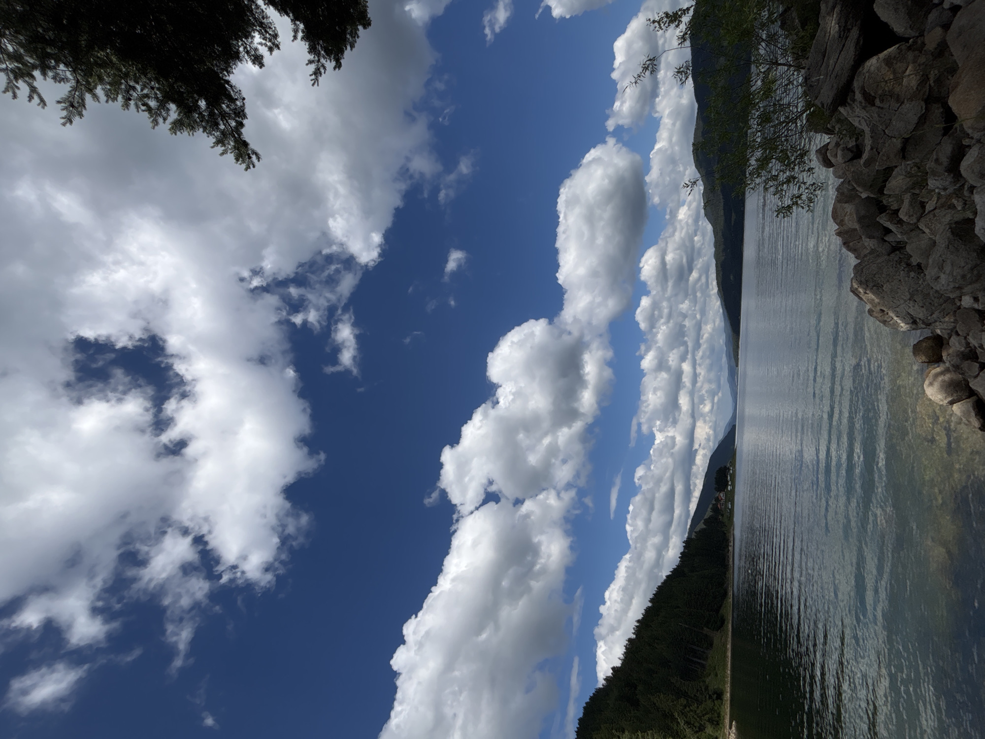 The image depicts a serene natural landscape featuring a wide, calm lake stretching into the distance. The water's surface is slightly rippled, reflecting the bright blue sky above, which is adorned with numerous fluffy white clouds. On the left side of the frame, a dense, dark green forest covers a sloping hillside that meets the water's edge. In the middle ground, across the lake, a range of distant, hazy mountains forms the horizon line. The foreground is occupied by a rocky shoreline, with large, light-colored stones and some sparse vegetation, including a small tree branch with green leaves on the right side. The overall scene is one of natural beauty and tranquility.