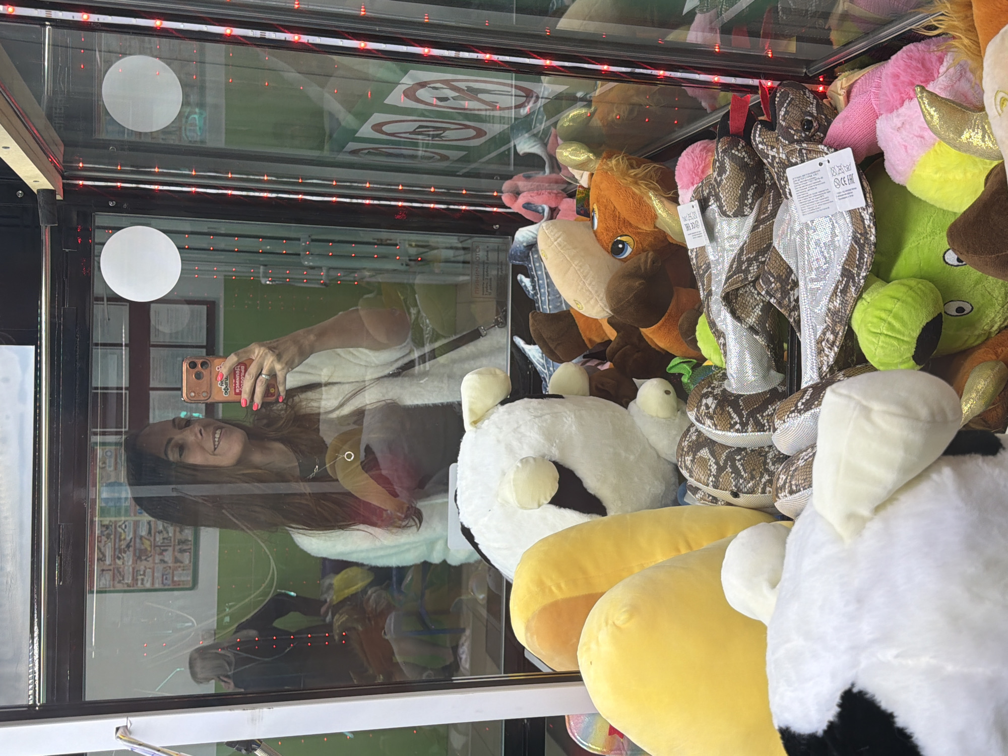 A horizontal medium shot reveals a person, likely a woman, reflected in the glass front of a claw machine filled with plush toys. The reflection shows the person holding a smartphone, possibly taking a photograph. The person has long brown hair and is smiling. The claw machine contains a variety of plush animals, including a brown horse with a gold horn, a plush snake with a silver and brown pattern, a green plush toy with large eyes, a white and black plush toy, and yellow plush toys. The machine is outlined with red LED lights. The background reflected in the glass shows a wall with posters or signs and other indistinct details. There are two white circular stickers on the glass of the machine. No definitive information from the image indicates the location of the machine is Birobidzhan, Russia.