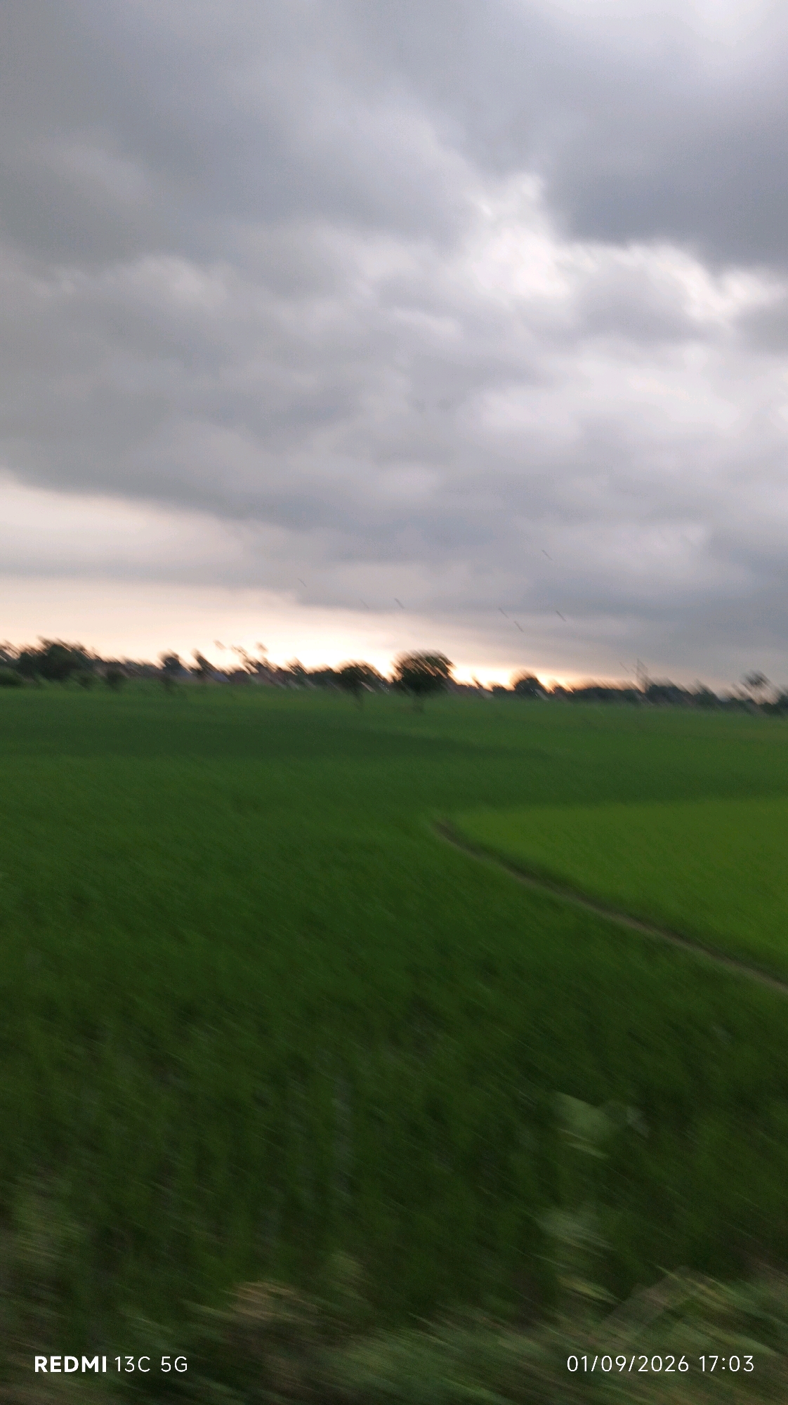 The image depicts a blurred landscape of a green field under a cloudy sky. The horizon shows a line of trees and structures. Small dark shapes, possibly birds, are visible in the sky near the horizon. The bottom left corner of the image contains the text "REDMI 13C 5G", and the bottom right corner displays a date and time stamp: "01/09/2026 17:03". The overall impression is that of a motion-blurred photograph taken outdoors, likely in a rural or semi-rural setting. The location is identified as Sondiha North, India.