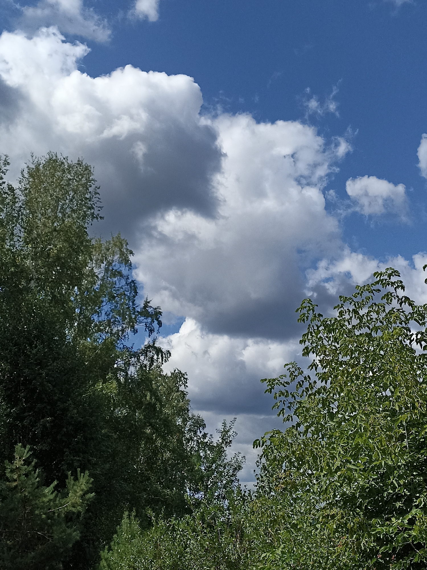 The image captures a portion of the sky above Mochische, Russia. The sky is a vibrant blue, dotted with scattered white and dark grey clouds. In the foreground, lush green trees dominate the lower half of the frame, with their foliage obscuring much of the view below. The trees appear to be a mix of deciduous and coniferous varieties. The overall scene suggests a natural outdoor environment on a partly cloudy day.