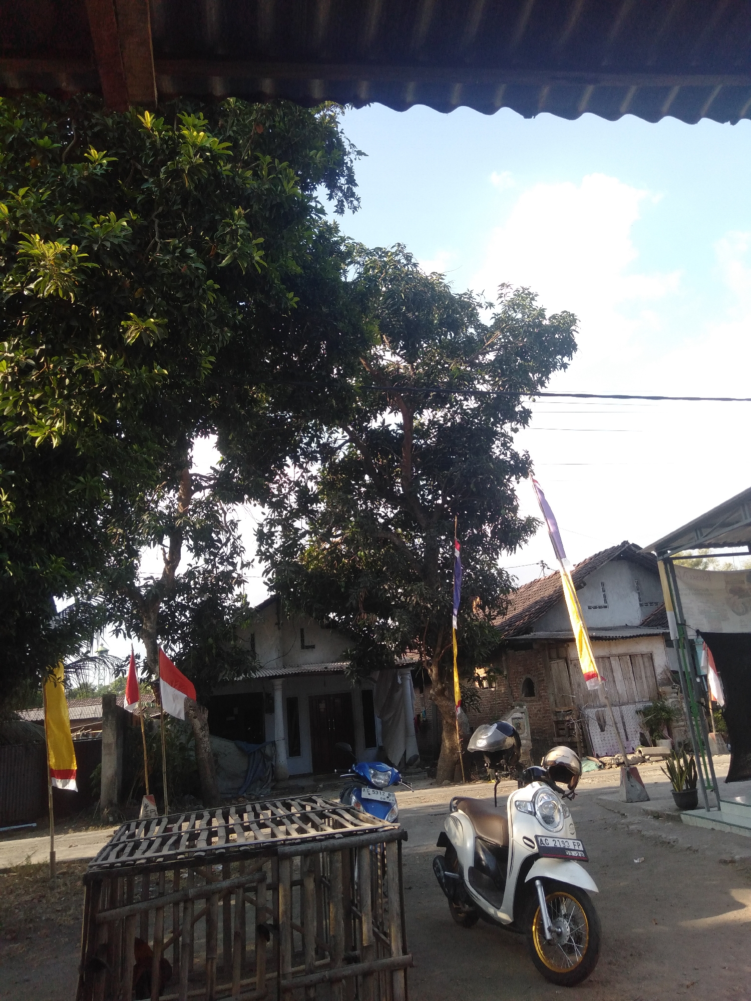 The image captures a sunny outdoor scene in Badas, Indonesia. In the foreground, a rudimentary wooden cage made of bamboo slats is visible, containing at least one chicken. To the right of the cage, a white scooter with gold accents is parked, displaying a license plate that reads "AG 2193 FP". Two helmets are placed on the handlebars of the scooter. Further back, a blue scooter is parked behind the white one. Several Indonesian flags, red and white, and a yellow flag with red trim, are displayed on poles among lush green trees. The background shows a house with a tiled roof and open doorways, and other structures suggesting a residential area. The sky is bright blue with scattered white clouds. The overall impression is one of a typical village street in a warm climate.