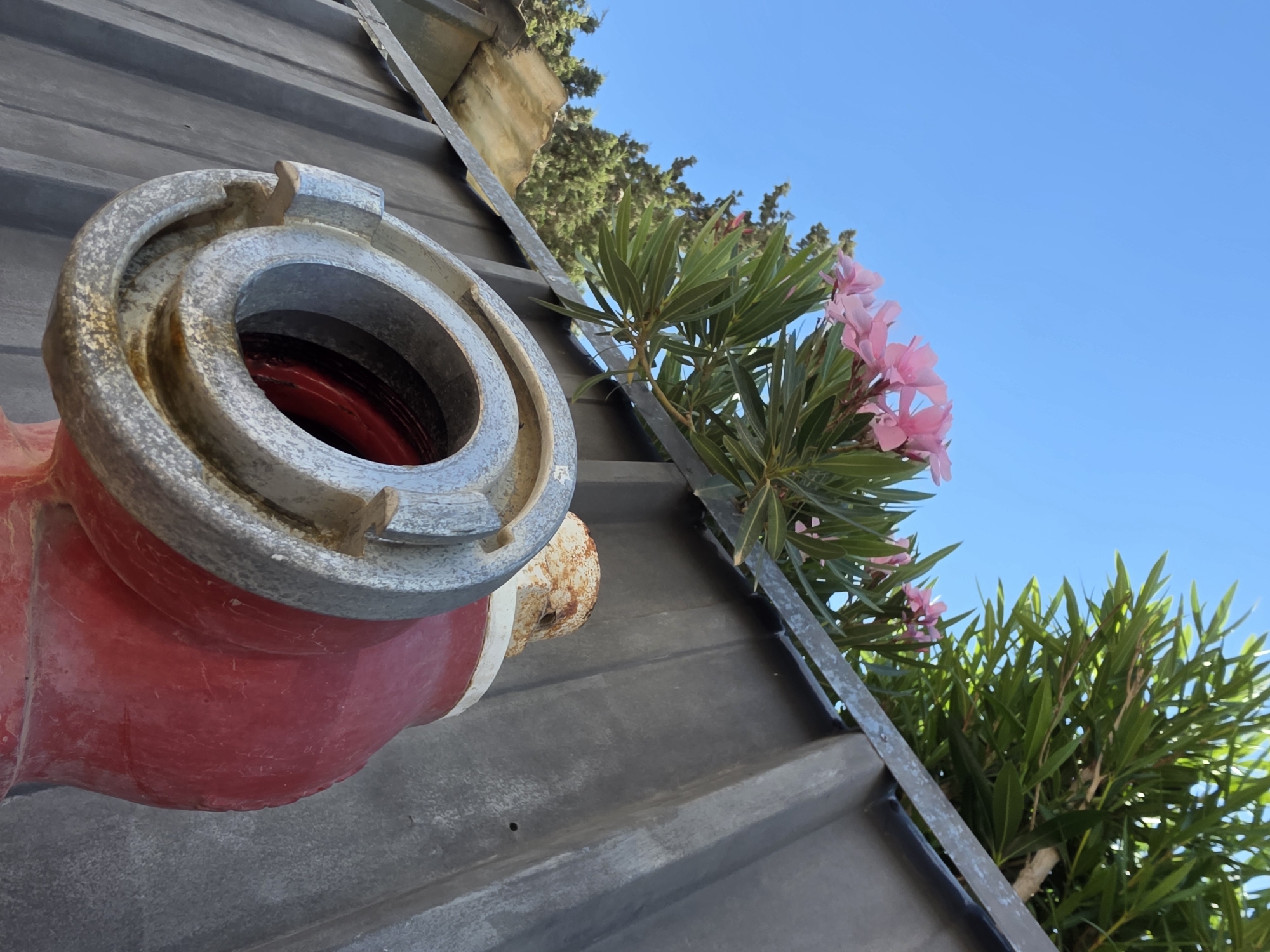 A low-angle shot captures a red fire hydrant with a gray nozzle, positioned on a gray, corrugated surface. Pink flowers and green foliage emerge from behind the hydrant and a nearby metal structure, framing the hydrant against a clear blue sky. The hydrant appears weathered, with signs of rust. The image was taken in the city of Be'er-Sheva, Israel.
