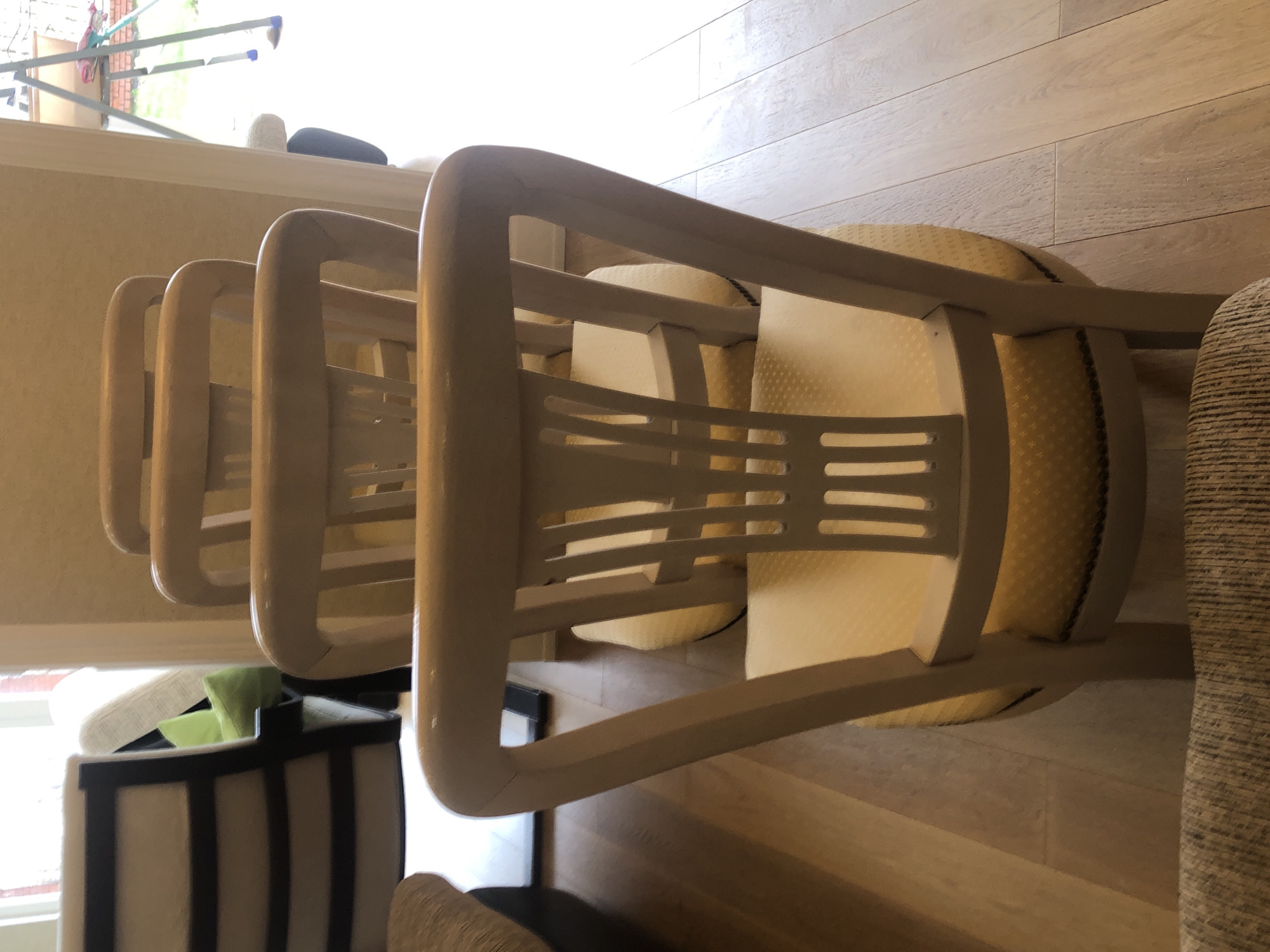 The image shows a row of four light-colored wooden chairs with upholstered seats, viewed from the back. The chairs are lined up on a wooden floor, presumably indoors. A window is visible in the background, with a clothesline outside. A black and white striped container sits near the chairs, and a portion of a gray upholstered piece of furniture is on the right side of the frame. The location is not discernible from the image.