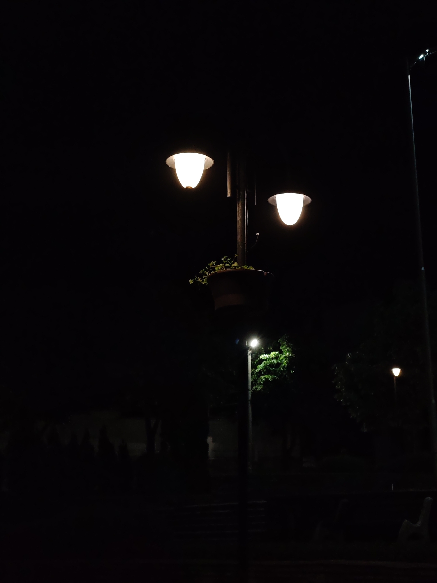 The image displays a nighttime scene in Veliki Preslav, Bulgaria, centered on a dark streetlamp pole equipped with two illuminated, bell-shaped light fixtures emitting a warm white glow. Midway down the pole, a dark planter holds green foliage. To the lower left, a second illuminated streetlamp is visible, casting light onto dark green foliage. A third, more distant, faintly illuminated streetlamp is discernible in the lower right background. The environment consists of dark trees and indistinct ground features, suggesting an outdoor public space. No individuals or animals are present.