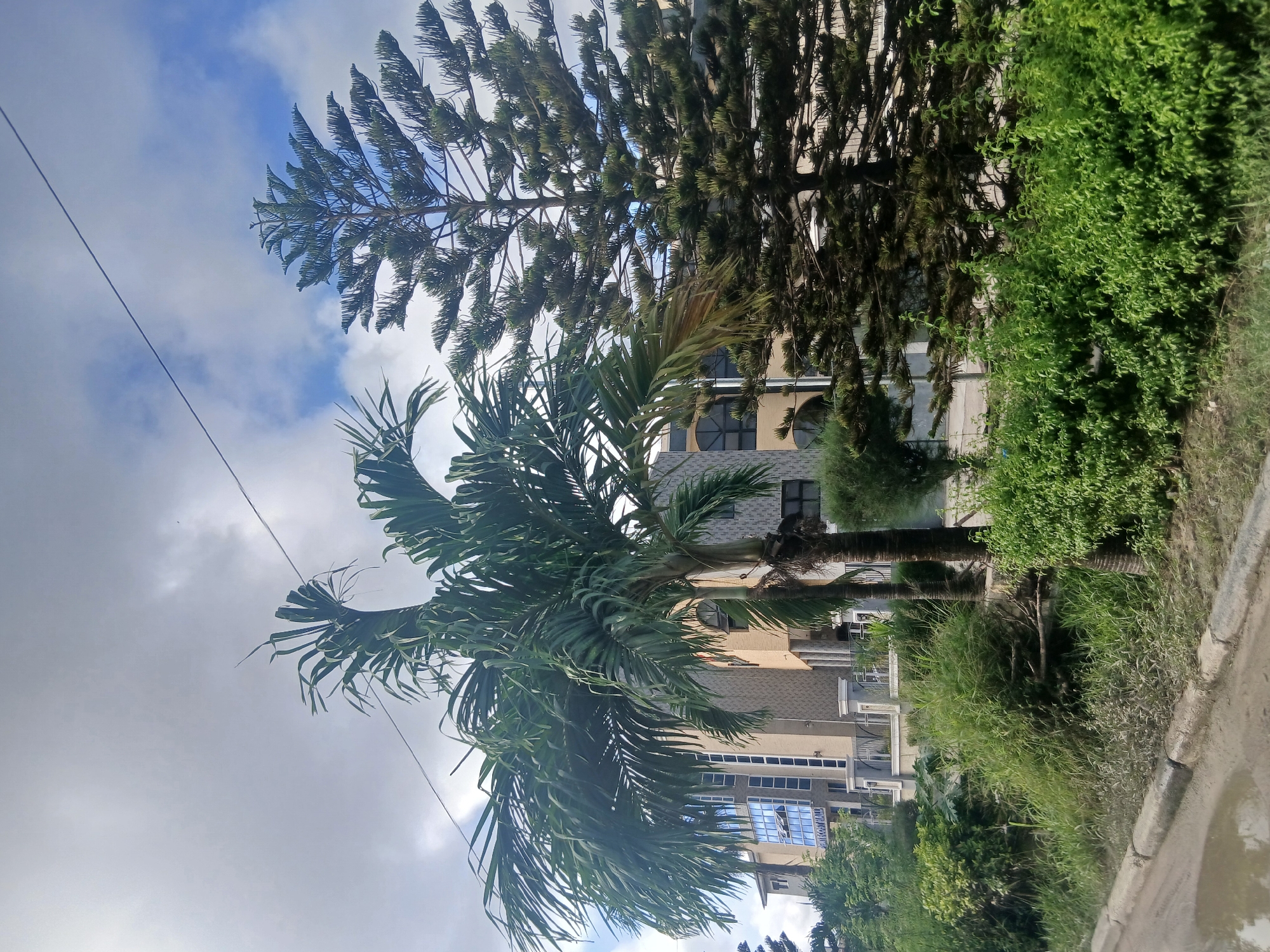 In the city of Isunba, Nigeria, a building labeled "PENTECOST HALL" stands behind a lush green embankment. The building is a multi-story structure with a light beige exterior adorned with a patterned texture. The windows are a striking blue, and the entrance features a prominent white railing. In front of the building, various trees are visible, including a tall, bushy pine tree on the right and a palm tree with large fronds dominating the center of the frame. The foreground shows a dirt road with a puddle of water, indicating recent rain. The sky is partly cloudy, with patches of blue visible through the grey clouds. The overall scene depicts a day in Isunba, Nigeria, with a prominent building surrounded by natural elements and a glimpse of urban infrastructure.