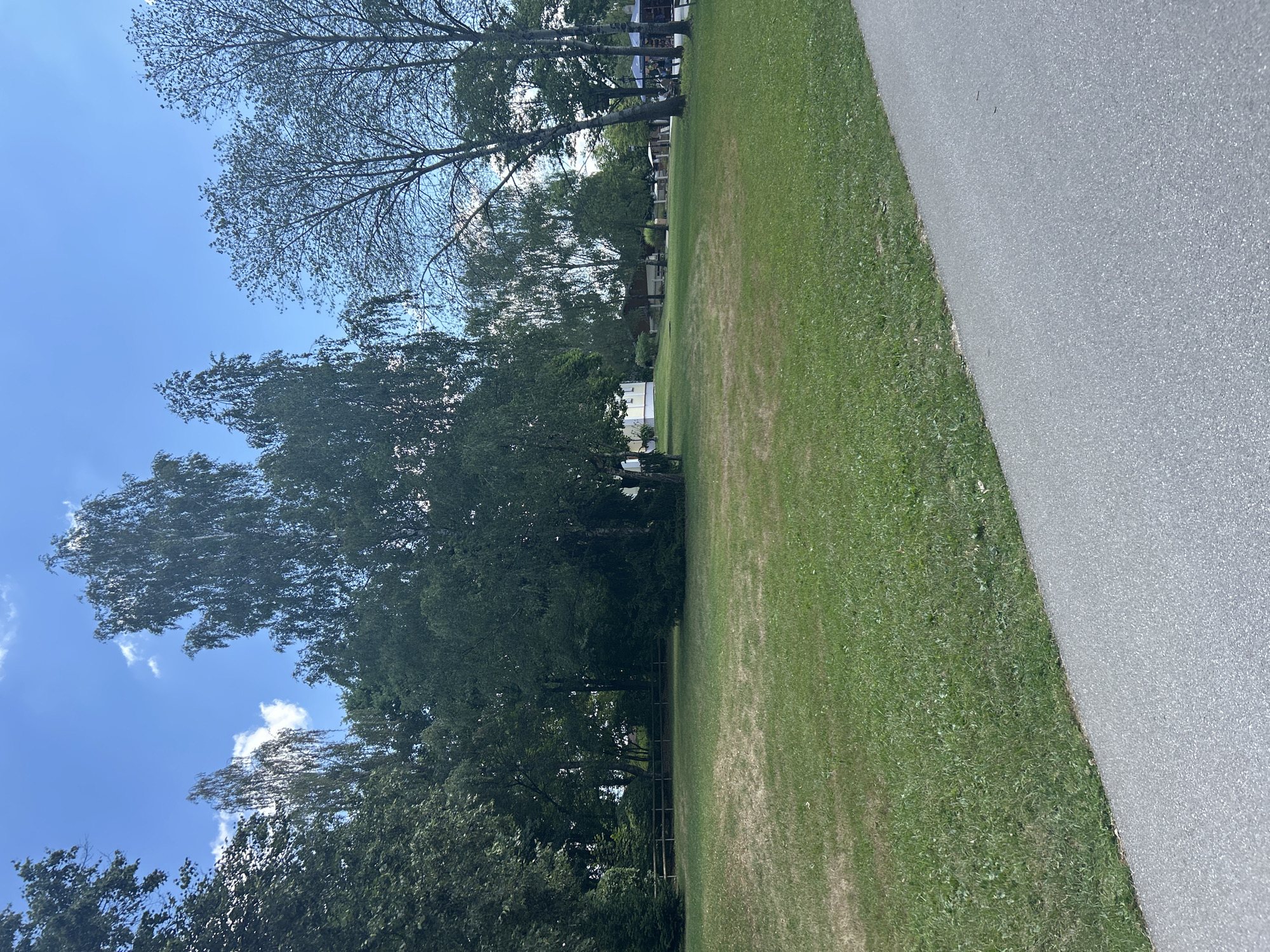 The image captures a sunny day in Reisbach, Germany, featuring a park area with a paved pathway in the foreground. Lush green grass covers the park, with some patches appearing drier. A variety of trees, including birch and deciduous varieties, are scattered throughout the scene, providing shade. In the background, there are several buildings, suggesting a residential or commercial area bordering the park. Fences delineate some sections of the park. The sky is a clear blue with a few scattered white clouds. There are no people clearly visible or identifiable in the image.