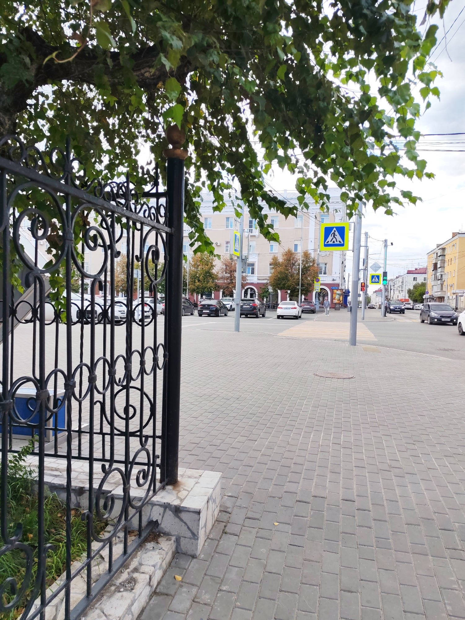 A street scene shows a pedestrian crossing with a pedestrian crossing sign. A black metal fence with decorative scrollwork is in the foreground. Beyond the fence, a wide paved sidewalk with cobblestone-like patterns is visible. Cars are driving on the street, and there are buildings in the background. Trees with green and yellow leaves are also present, suggesting it is autumn. A traffic light with a green signal is visible. The sky is cloudy.