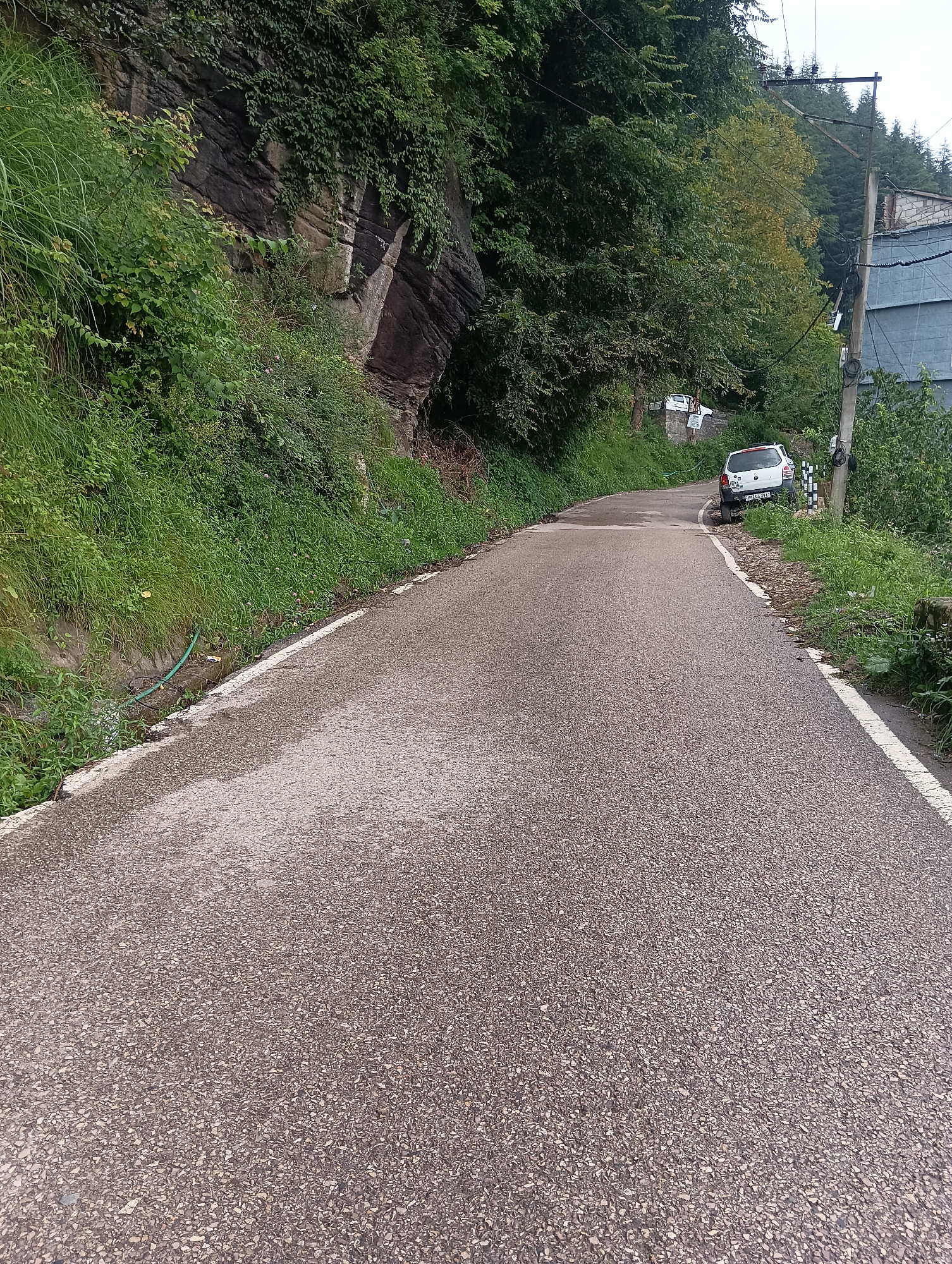 The image shows a winding asphalt road with white markings on the right edge, situated in a hilly, verdant environment. The road curves to the left, disappearing into the distance. On the left side of the road, a steep, rocky embankment is covered with dense green vegetation and grass. A thin green hose lies along the base of the embankment near a small water channel.
Further up the road, on the right side, two white cars are parked. The car closer to the foreground has its license plate clearly visible, which reads "HP11 C 4121". Behind it, another white car is partially visible. A utility pole with wires runs along the right side of the road, adjacent to a building with grey siding and a tiled roof. The surrounding area is heavily forested with lush green trees. The sky is overcast. The scene appears to be a rural or semi-rural mountain road, likely in the town of Chhyal, India, given the presence of the Himachal Pradesh license plate. There are no people visible in the image.