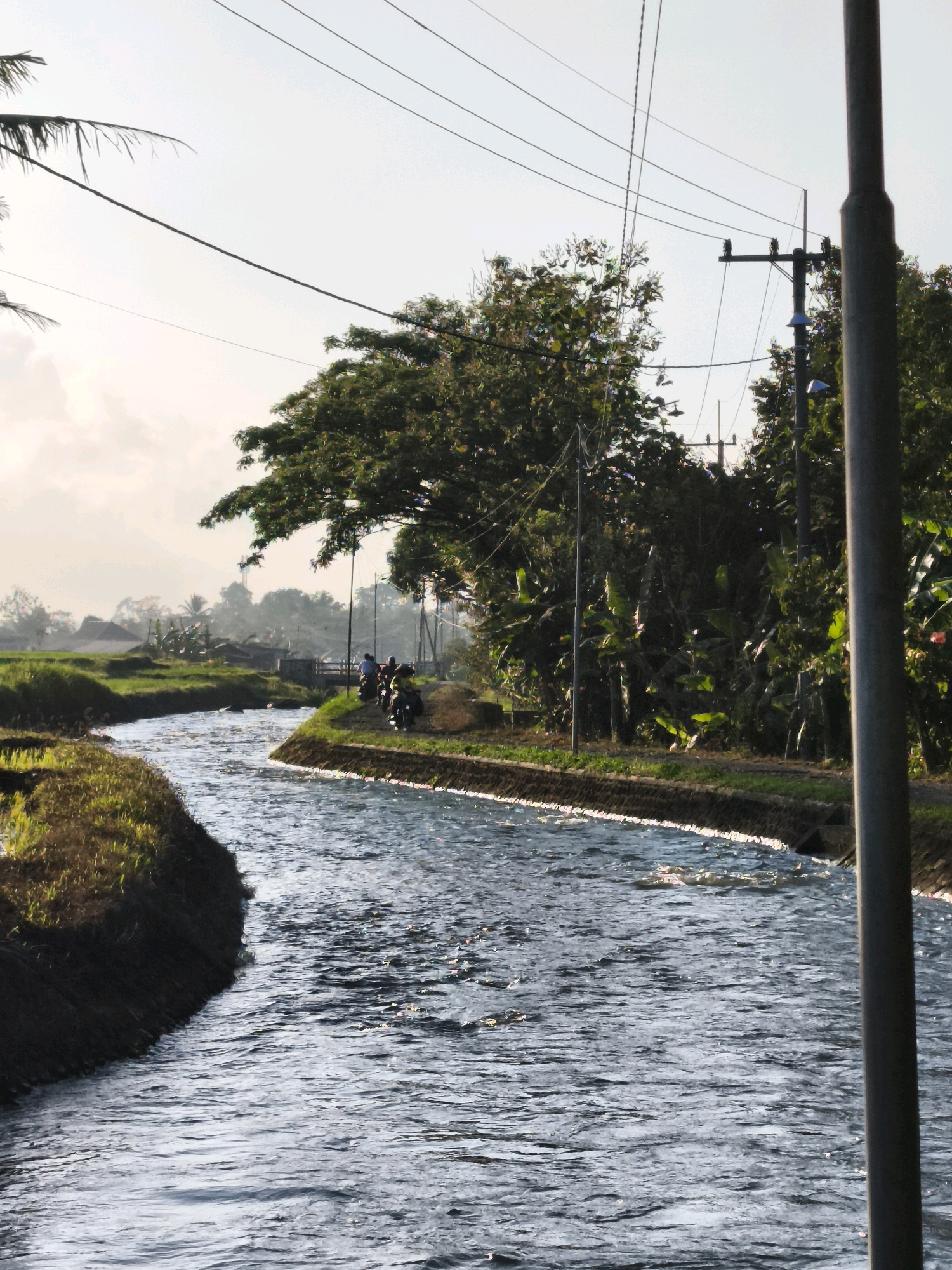 The image depicts a rural landscape in Kaligondo, Indonesia, featuring a waterway flowing through agricultural fields. The waterway is flanked by grassy banks, one of which is lined with stone retaining walls. On the right bank, a dense line of trees and vegetation borders the path. In the distance, several individuals are visible on motorcycles, paused near a bridge that spans the waterway. Overhead, power lines are strung between utility poles, a common sight in rural Indonesian settings. The scene is illuminated by natural light, suggesting it was captured during either sunrise or sunset, given the soft quality of the light and the hazy atmosphere in the background. The overall impression is one of a tranquil, everyday scene in a farming community.