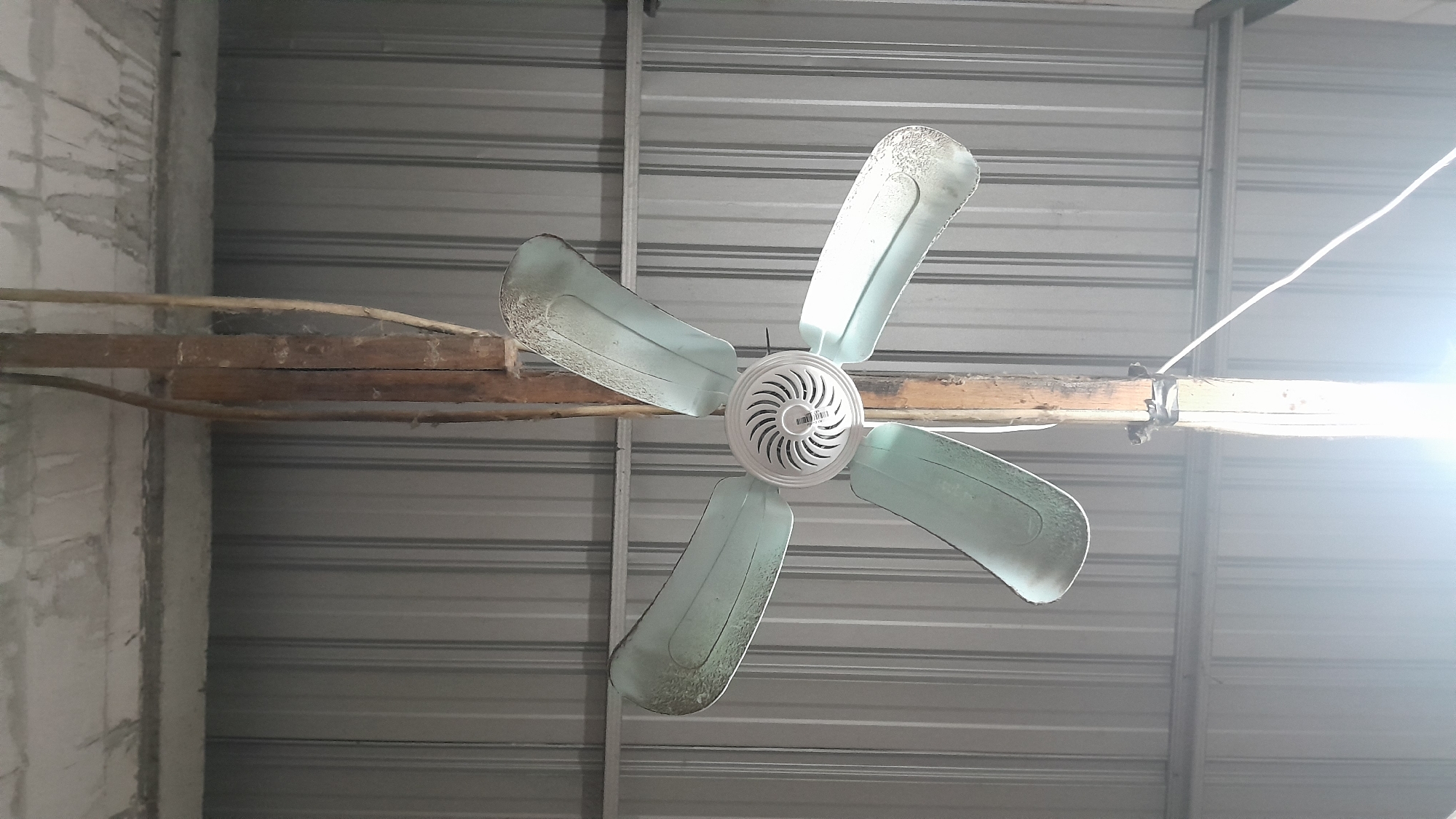 A dusty, pale green, five-bladed ceiling fan is suspended from a wooden beam by a white electrical cord. The fan blades are covered in a significant amount of dust and debris, indicating it has not been cleaned recently. The fan is centrally positioned within the frame, with its motor housing a swirl pattern vent. Behind the fan, a corrugated metal roof runs horizontally across the image. The overall environment appears to be an interior space with a rudimentary construction.