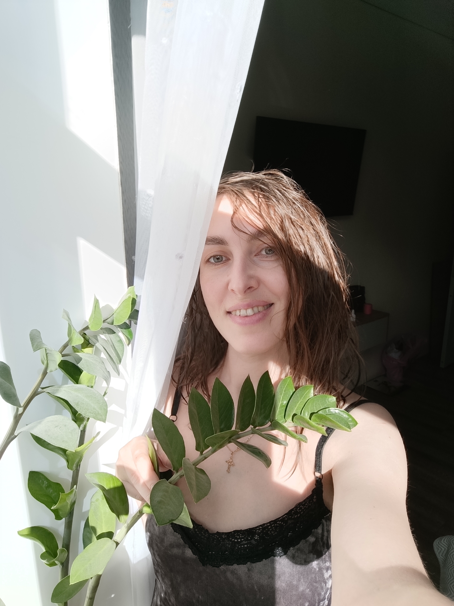 A fair-skinned woman with light brown hair and green eyes is centered in a selfie-style shot. She is smiling gently and holding a branch of a ZZ plant (Zamioculcas zamiifolia) in front of her chest. She is wearing a gray velvet top with black lace trim at the neckline and spaghetti straps. A gold cross necklace is visible.
To the left of the woman is another ZZ plant in a window with white blinds and sheer white curtains. Sunlight streams in from the left, creating harsh shadows on her face and hair.
Behind the woman is a dark room with a television mounted on the wall. A small table is visible in the background with a pink object and a stuffed toy on it.
The location is identifiable as Chaikovsky, Russia, based on metadata not included in the image itself.