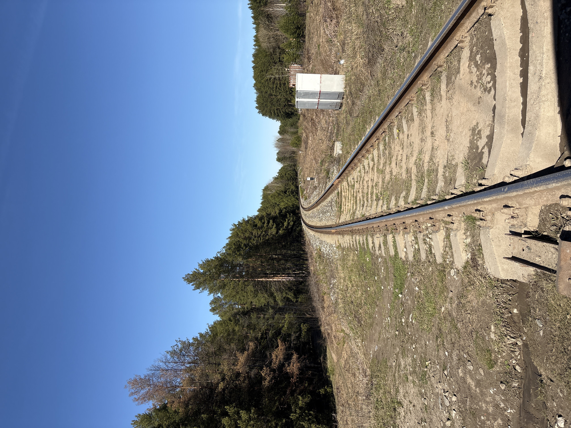 The image, correctly oriented, displays a single railway track curving gently to the right, extending into the distance through a rural landscape. The track consists of metal rails laid on concrete sleepers, with the surrounding ground being a mix of dirt, sparse dry grass, and small rocks, including some muddy patches.
On the left side of the track, a dense forest stretches along the horizon, primarily composed of green coniferous trees, with some bare-branched deciduous trees intermingled or appearing in the background. To the right of the track, the ground forms a gently rising embankment covered in dry grass, weeds, and bare earth.
In the middle ground, on the right side of the track, two light-colored, rectangular utility or signal boxes stand upright. Behind them, partially obscured by sparse vegetation, is a pile of what appears to be discarded wooden railway sleepers or similar construction debris. Closer to the foreground on the right, a small concrete block or marker is visible on the ground.
The scene is set under a clear, bright blue sky, indicating a sunny day, likely late morning or early afternoon given the visible shadows. There are no people or specific activities taking place, contributing to a serene and somewhat desolate atmosphere. No visible text is present in the image. The setting is consistent with a railway line in a natural environment near Chaikovsky, Russia.