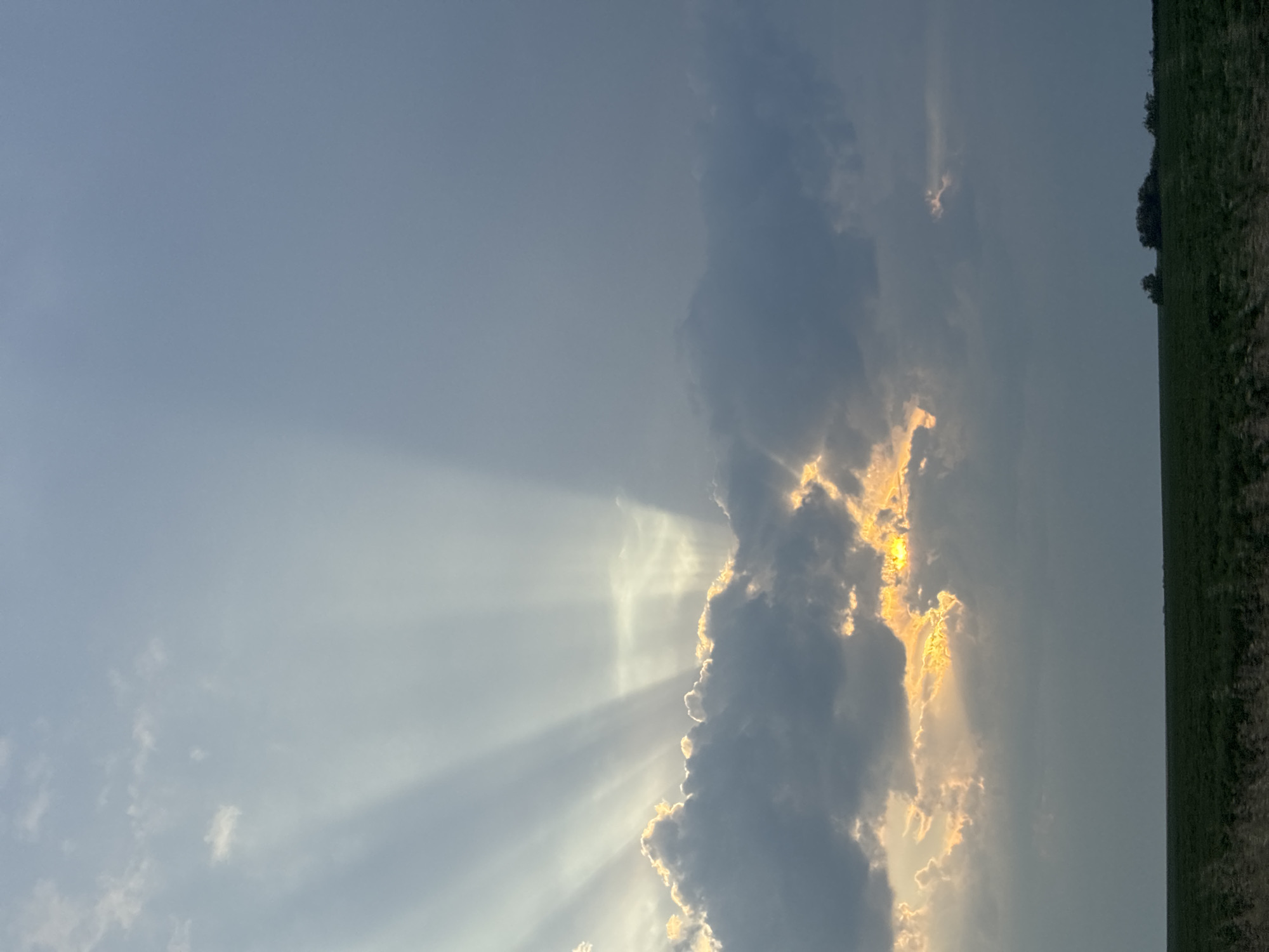 This image, taken in Chirpan, Bulgaria, depicts a late afternoon or early morning sky characterized by dramatic crepuscular rays. The sun, obscured by a dense band of dark cumuliform clouds spanning the mid-ground, projects intense golden-orange light through gaps and along the cloud edges, particularly on the left and central portions. Multiple bright sunbeams extend upwards and outwards from behind these clouds into the lighter, pale blue-grey sky of the upper left quadrant. The right side of the sky is dominated by a darker, more uniform grey-blue cloud cover, indicative of deeper atmospheric conditions. Below the horizon, a vast, flat expanse of green agricultural land stretches across the entire width of the frame. In the distant right, a small cluster of dark, silhouetted trees or bushes breaks the otherwise flat land contour. No people, specific objects of human creation (aside from potential distant agricultural patterns), or discernible actions are present.