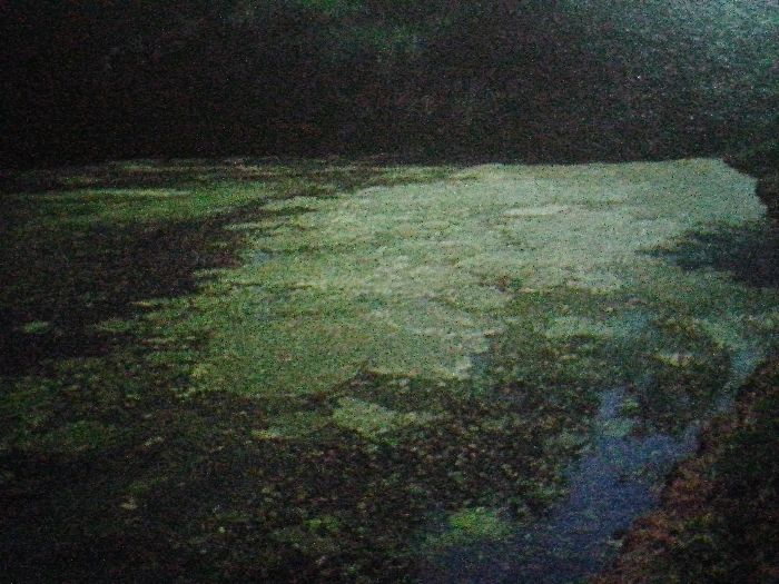 A dark, possibly subterranean space opens into a body of water or shallow pool. The water, greenish-white in color, is mottled with darker patches that suggest seaweed, plant life, or rocks beneath the surface. The edges of the water body merge with indistinct, shadowed land. A rocky outcrop exists at the rightmost edge of the frame.