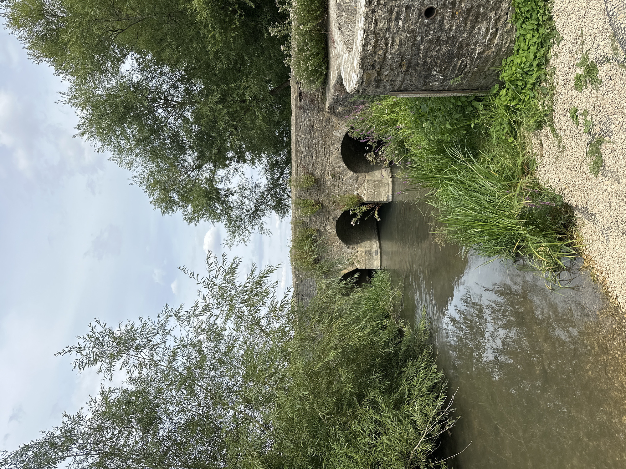 The image shows a stone bridge with three arched openings over a body of water. Lush green vegetation, including tall grasses and leafy trees, surrounds the bridge and the water. The sky is overcast with scattered clouds. On the right side of the image, there is a stone structure with a circular opening. The water reflects the trees and sky. The scene appears to be in a natural, outdoor setting.