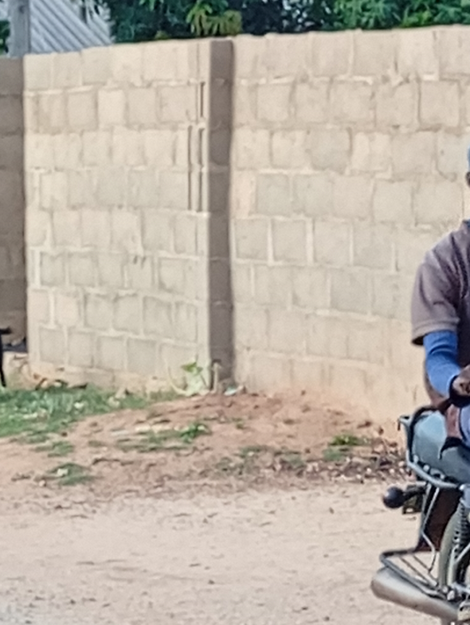 An image showing a partial view of a man sitting on a motorcycle next to a cinder block wall. The location is assumed to be Adankolo, Nigeria. The man is wearing a brown top with blue sleeves. The motorcycle is silver, with a visible exhaust pipe. The wall is made of light-colored cinder blocks with visible mortar lines. A dirt or gravel road is in the foreground, with some vegetation at the base of the wall. A fence of wooden slats can be seen in the far background, partially obscured by trees.