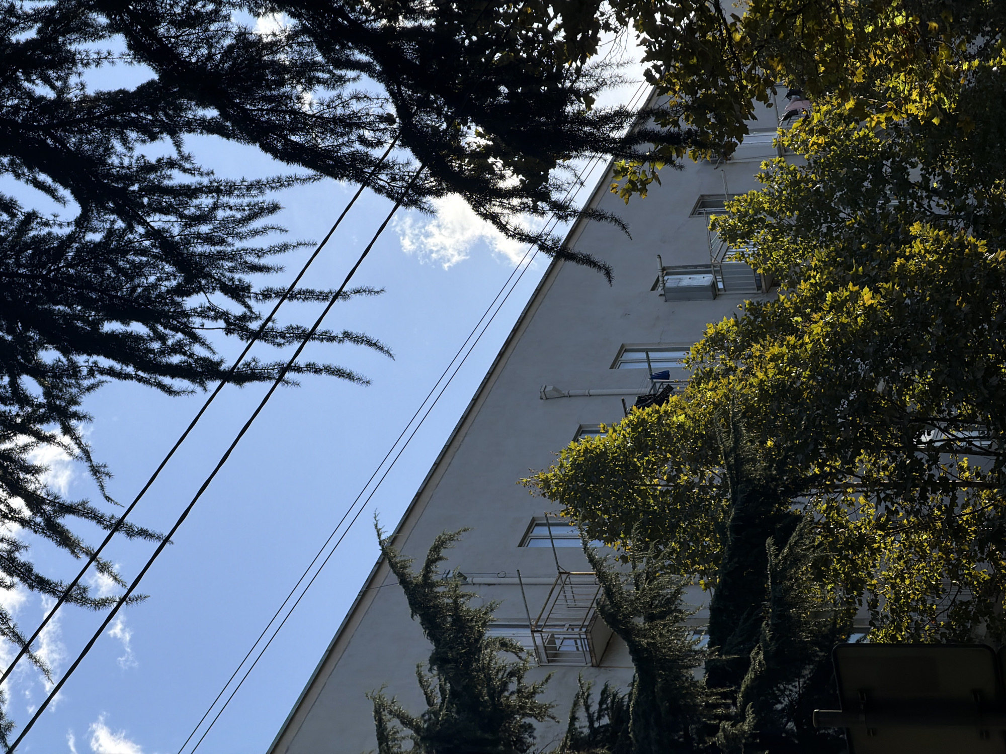 The image depicts a building facade in Tbilisi, Georgia, viewed from below, with overhead power lines and tree branches partially obscuring the sky and the upper portion of the structure. The building is a light-colored, multi-story structure with visible windows and balconies, some of which are occupied by what appear to be laundry items. The surrounding environment is characterized by dense foliage from trees, with sunlight filtering through the leaves, casting dappled light and shadows. The sky is blue with scattered white clouds. The composition suggests an urban setting within Tbilisi, likely a residential area. There are no people clearly visible in the frame, and no specific actions or interactions are taking place. The overall scene conveys a sense of everyday life in a Tbilisi neighborhood.