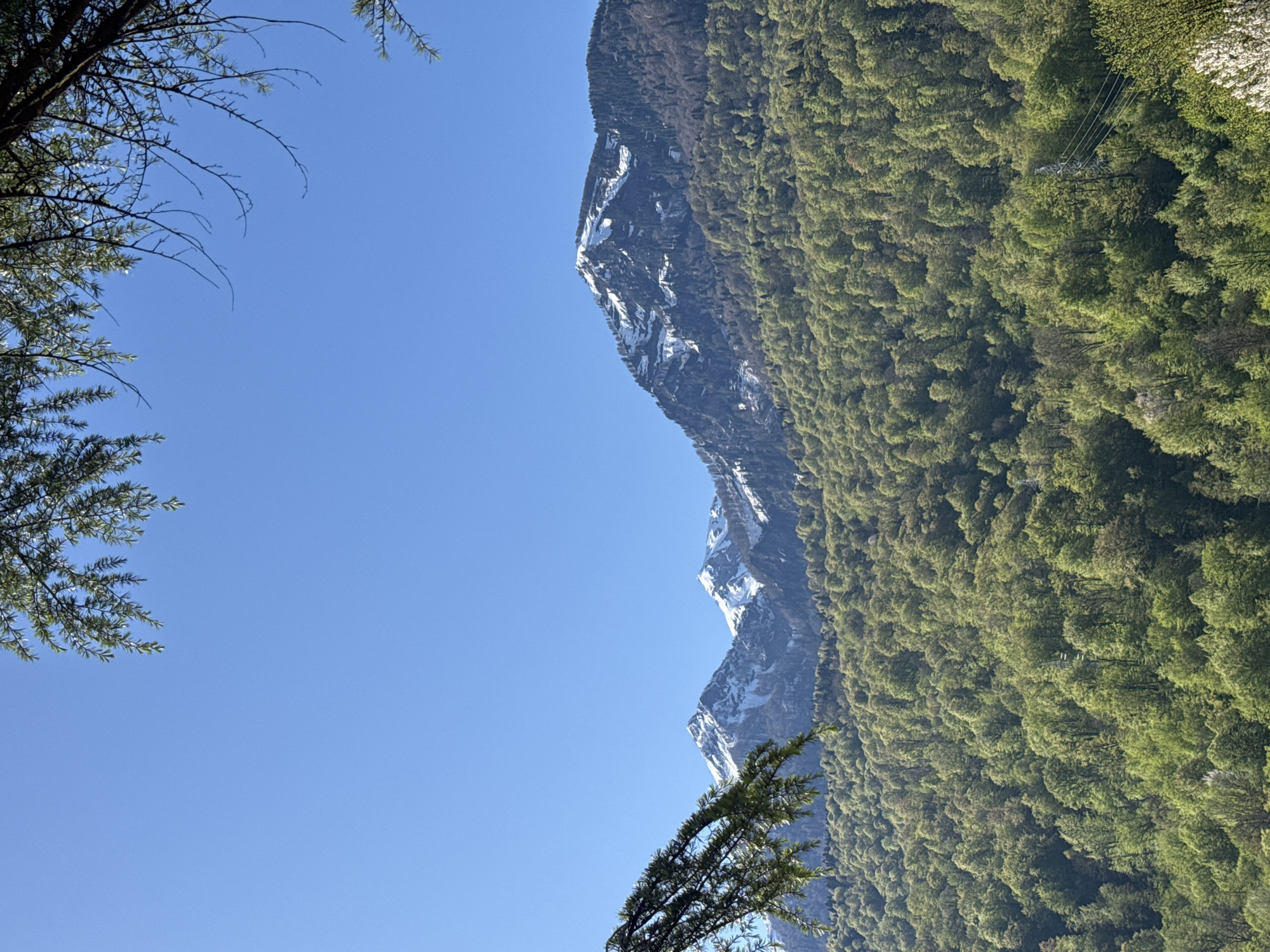 The image shows a mountainous landscape in Krasnaya Polyana, Russia. A mountain range with patches of snow on its upper slopes is visible, partially covered by dense green forest. In the foreground, tree branches frame the view. The sky is clear and blue. A powerline is visible.