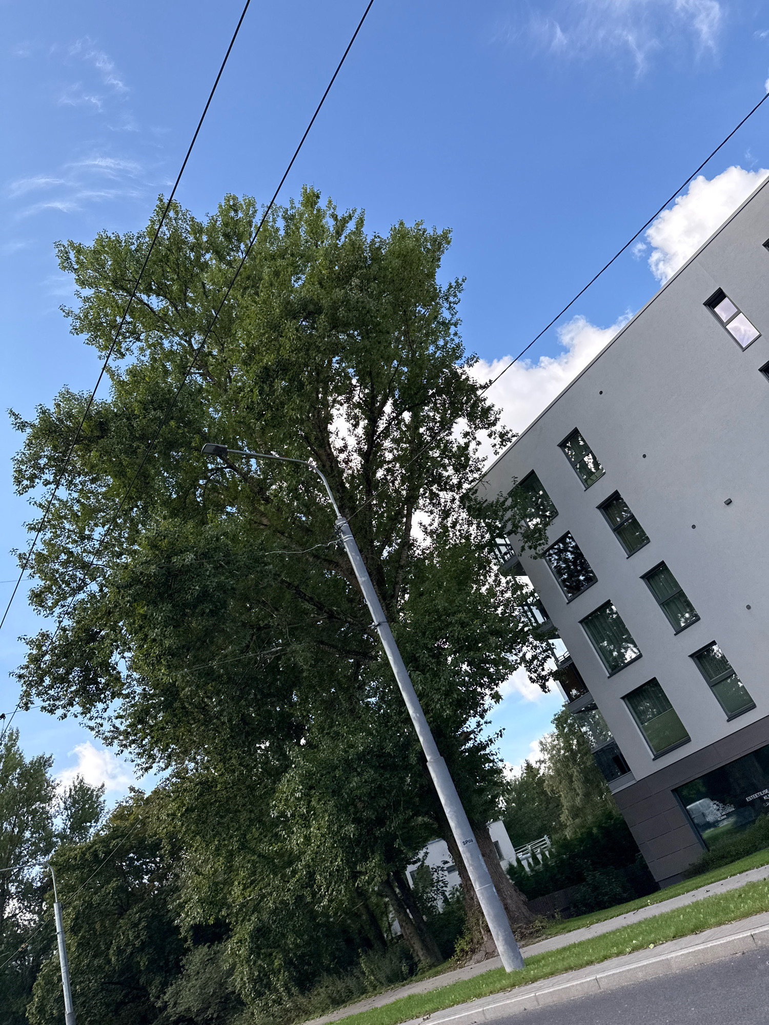The image shows a view of a modern apartment building with multiple windows, a large leafy tree, and overhead power lines under a blue sky with scattered clouds. The building is light grey with dark-rimmed windows. A street light is visible on a pole to the left of the tree. The scene appears to be in an urban or suburban setting, possibly in Tallinn, Estonia, given the architectural style and presence of power lines. There are no people or vehicles clearly visible in the image.
