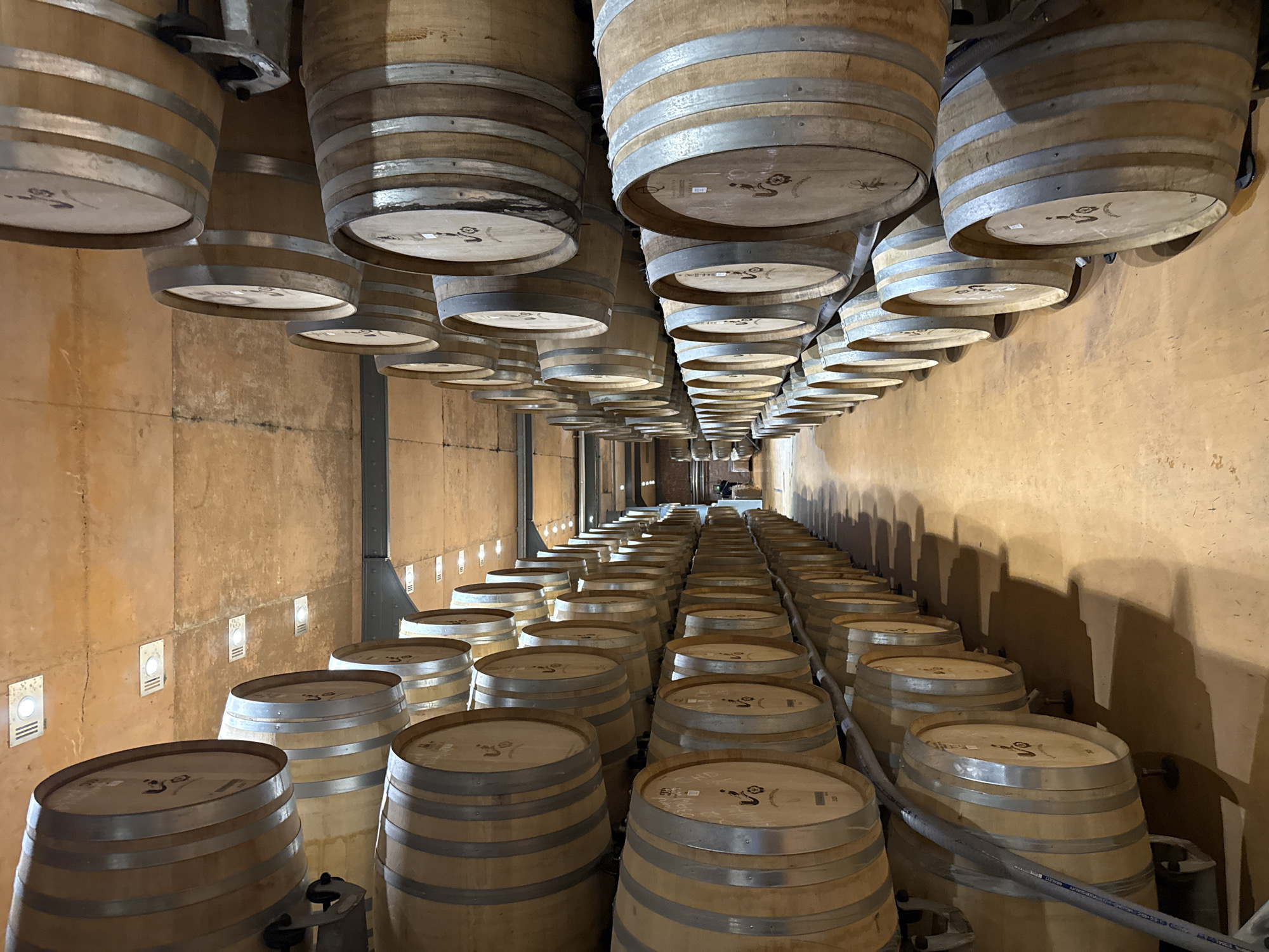 The image depicts a wine cellar in Drakenstein Nu, South Africa. Rows of wooden barrels are stacked on the floor and suspended from the ceiling. The walls are a textured beige color with recessed rectangular lighting. The barrels appear to be new, with metal bands and identifiable markings on their tops. The overall lighting is dim, highlighting the repetitive pattern of the barrels and their cylindrical shape.