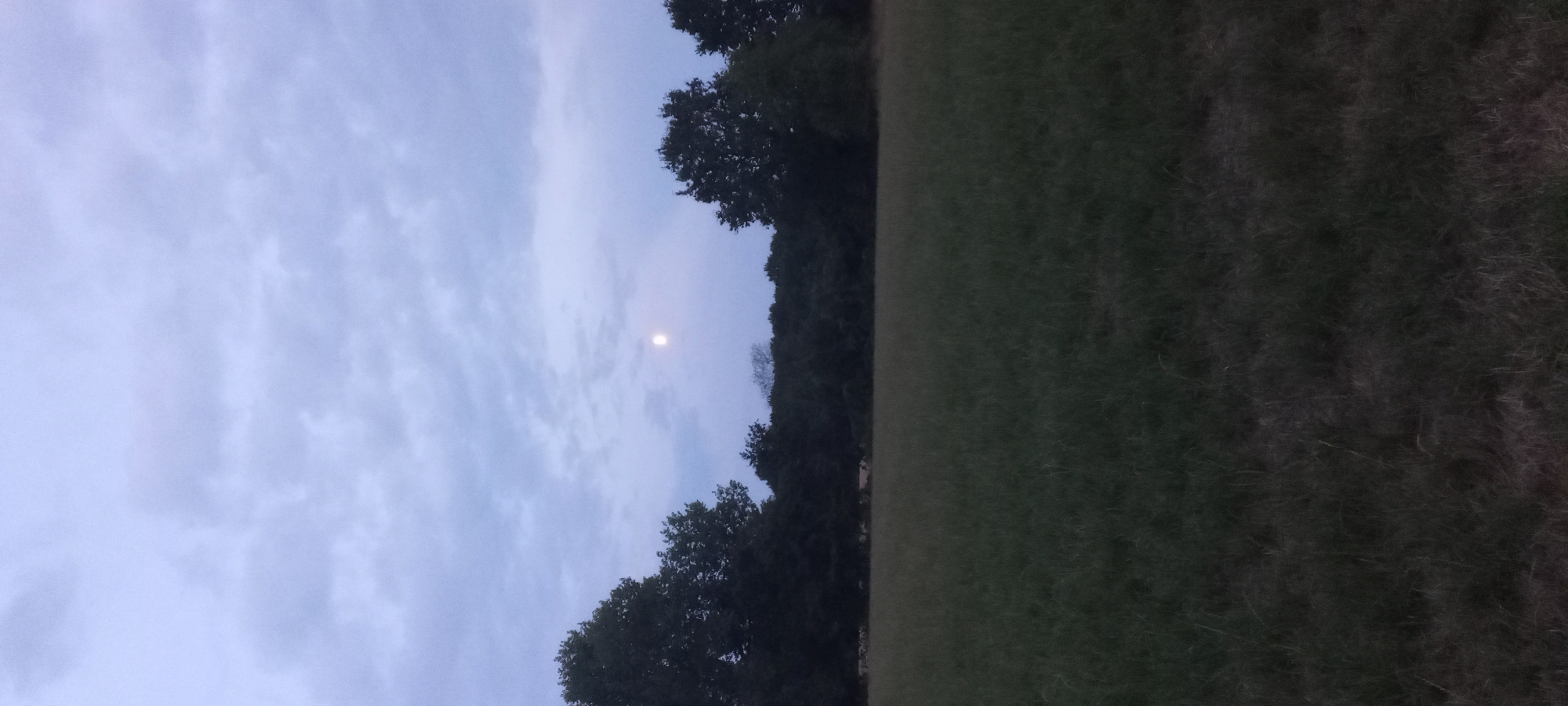 A full shot shows a moonlit evening landscape with a field of grass in the foreground and a line of trees in the background. The sky is cloudy and a sliver of the moon is visible in the upper center of the image. The scene appears to be in a rural area outside of Dortmund, Germany, based on the presence of trees, grass, and a clear sky typical of the region. No people or animals are visible in the image.