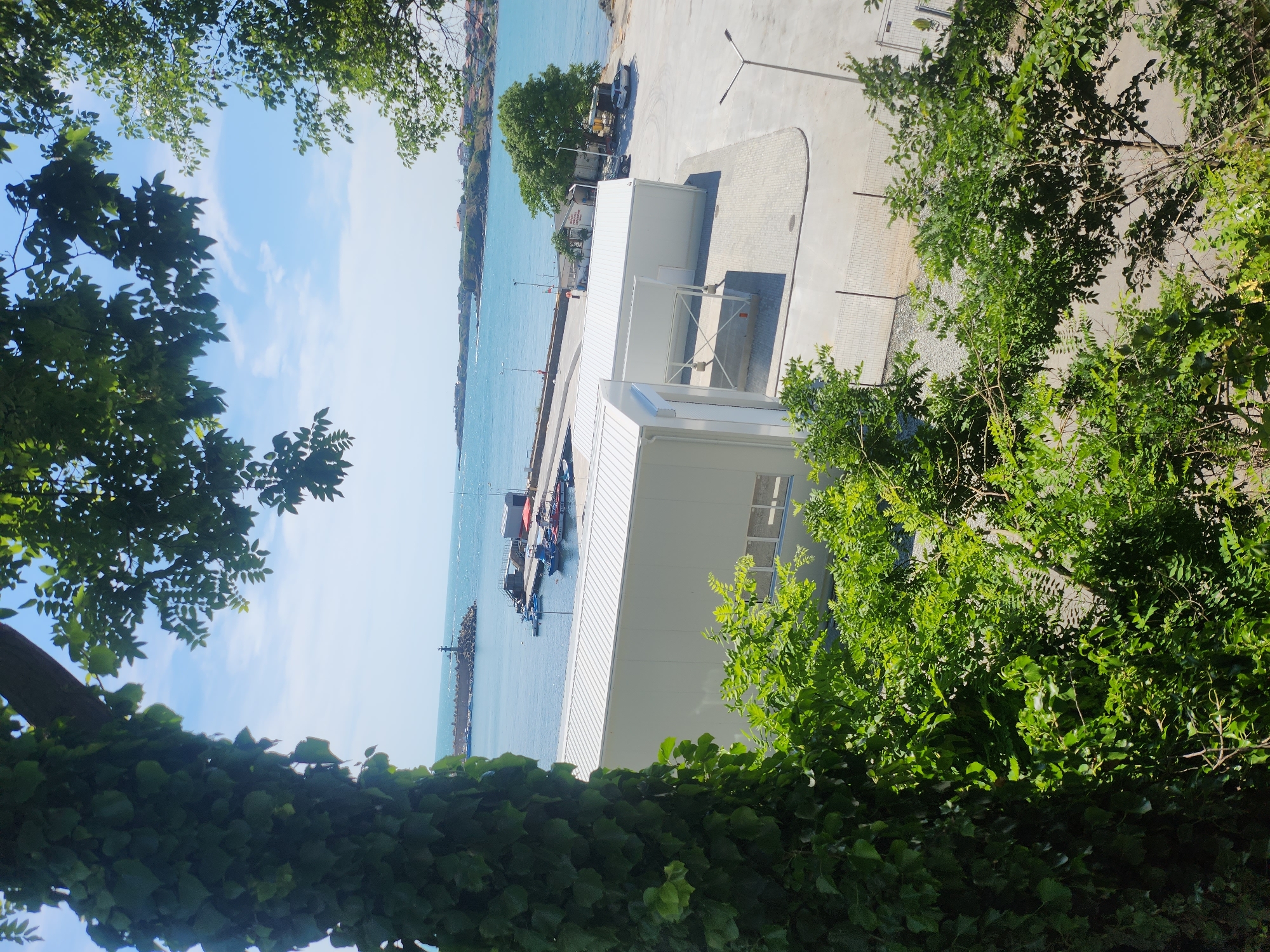 This is a high-angle, daylight shot of a coastal area in Tsarevo, Bulgaria. In the foreground, a large tree trunk covered in ivy is on the left, and lush green foliage occupies the bottom half of the frame. Beyond the trees, white modular buildings are visible. Further in the distance, a calm blue sea stretches out, meeting a hazy horizon under a partly cloudy sky. A harbor with several small boats is present, and a breakwater with a lighthouse at its end is prominent in the water. The coastline features rocky outcrops and a cluster of buildings. There are no people visible in the image.