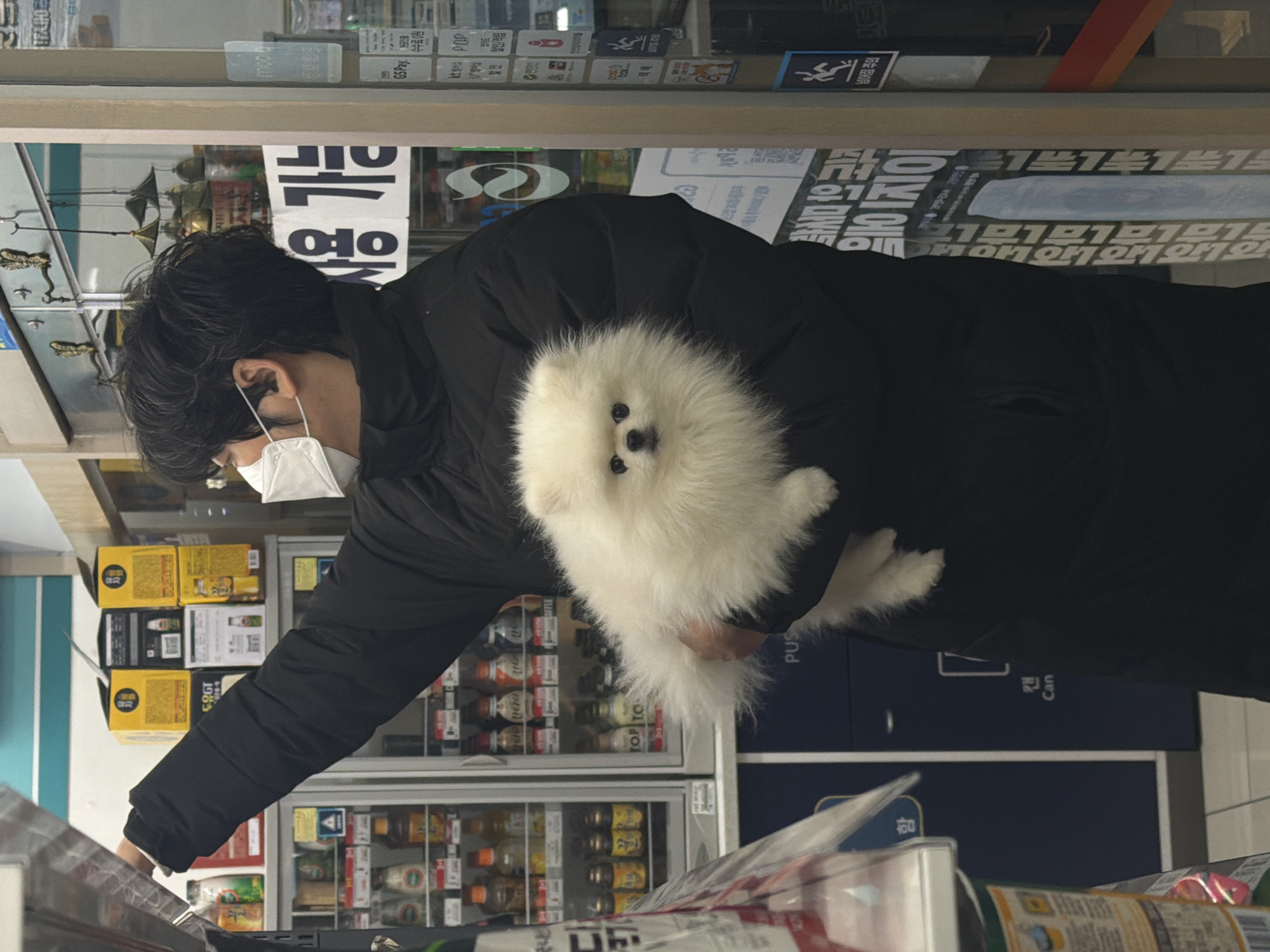 A man wearing a face mask and a dark winter coat is carrying a fluffy white Pomeranian dog. He is standing near a refrigerated display case stocked with beverages in a convenience store. The scene appears to be in Seoul, South Korea, as Korean text and signage are visible in the background.