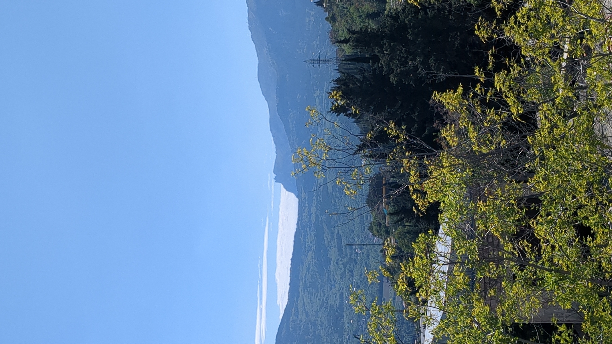 The image shows a landscape in the city of Yalta, Ukraine. The sky is clear blue. In the distance, a mountain range is visible, partly obscured by clouds. Closer to the viewer, there are trees with green and yellow leaves. In the middle ground, there are dark green trees and what appears to be a utility pole. The image is oriented vertically.