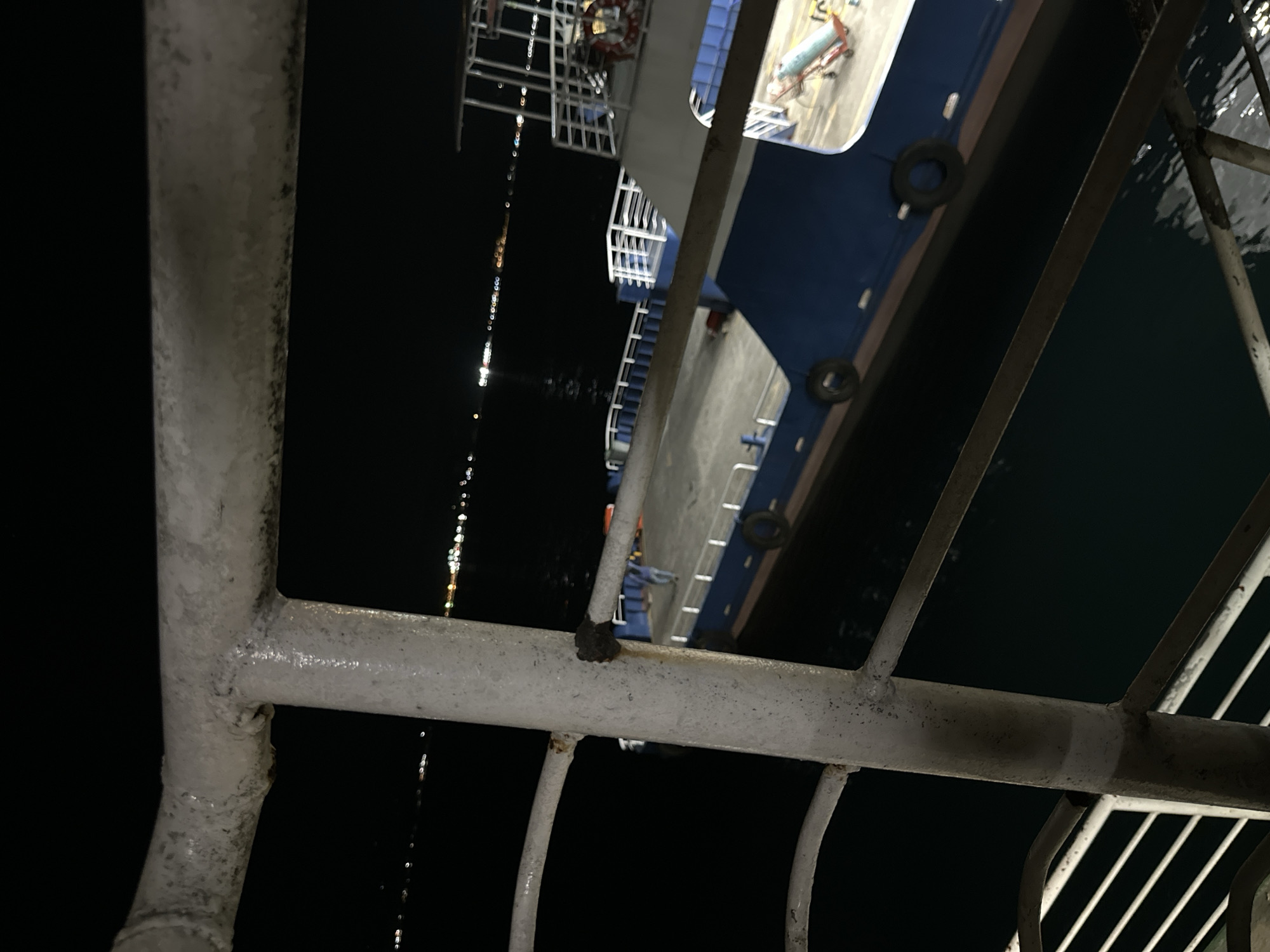 The image captures a nighttime scene, likely from a pier or another vessel, alongside a large boat in Davao City, Philippines. The foreground is dominated by a weathered white metal railing, showing signs of wear and some dark, discolored patches. A small, dark, irregular lump is visible on one of the horizontal bars of this railing.
Beyond the railing, the dark, calm water reflects numerous bright lights from a distance, appearing as vertical streaks. A substantial vessel, possibly a ferry or cargo ship, is partially visible. Its hull is dark blue and gray, and several dark, circular fenders (likely old tires) are attached to its side, just above the waterline. Parts of the ship's upper deck are also visible, featuring white metal structures like additional railings and what appears to be a small boat or piece of equipment with red and blue elements.
The overall darkness and the distinct reflections on the water strongly indicate that the photograph was taken at night. No people or visible text are present in the image.