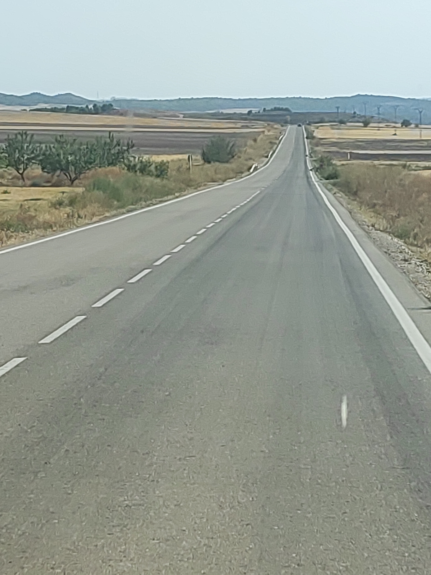 The image shows a two-lane asphalt road stretching into the distance through a rural landscape. The road is marked with white dashed lines separating the lanes and a solid white line along the right edge. On either side of the road are fields of dry, harvested crops, with some sparse vegetation and trees. In the background, hills are visible under a hazy sky. Several wind turbines can be seen on the horizon. The scene appears to be a highway passing through farmland, possibly in the municipality of Leganiel, Spain, given the agricultural terrain and the presence of wind turbines, which are common in that region. There are no people or vehicles prominently visible in the image.