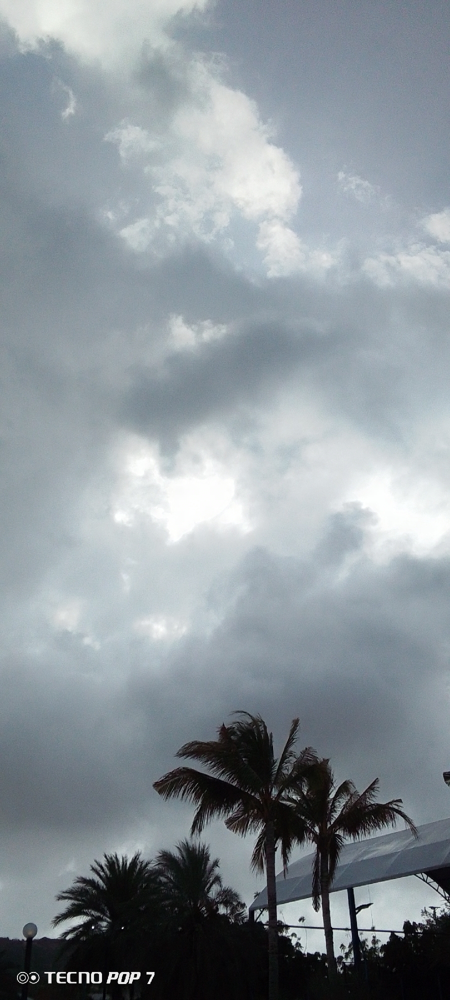 The image displays an overcast sky dominating the upper two-thirds of the frame, with dense grey clouds interspersed with bright white patches where sunlight breaks through or illuminates the cloud cover. This suggests a heavily cloudy day, possibly before or after rainfall, or simply a day with very diffused sunlight.
In the lower third of the image, several palm trees are visible, silhouetted against the lighter sky. Their fronds are dark and appear to be swaying slightly, hinting at a breeze. The tallest palm tree stands centrally, with other palm trees and dark, dense foliage visible to its left and right. To the far right, a portion of a man-made structure, featuring a large white roof or canopy, is visible, possibly part of an outdoor facility. A spherical light fixture can be seen on the bottom left, partially obscured by foliage.
The scene captures an outdoor tropical or subtropical environment, consistent with the location context of Pedro González, Venezuela. The time of day appears to be during daylight hours, despite the heavy cloud cover, due to the visible brightness in parts of the sky. The overall atmosphere is muted due to the overcast conditions. The text "◎ TECNO POP 7" is clearly visible in white in the bottom left corner of the image. No people or specific activities are depicted.