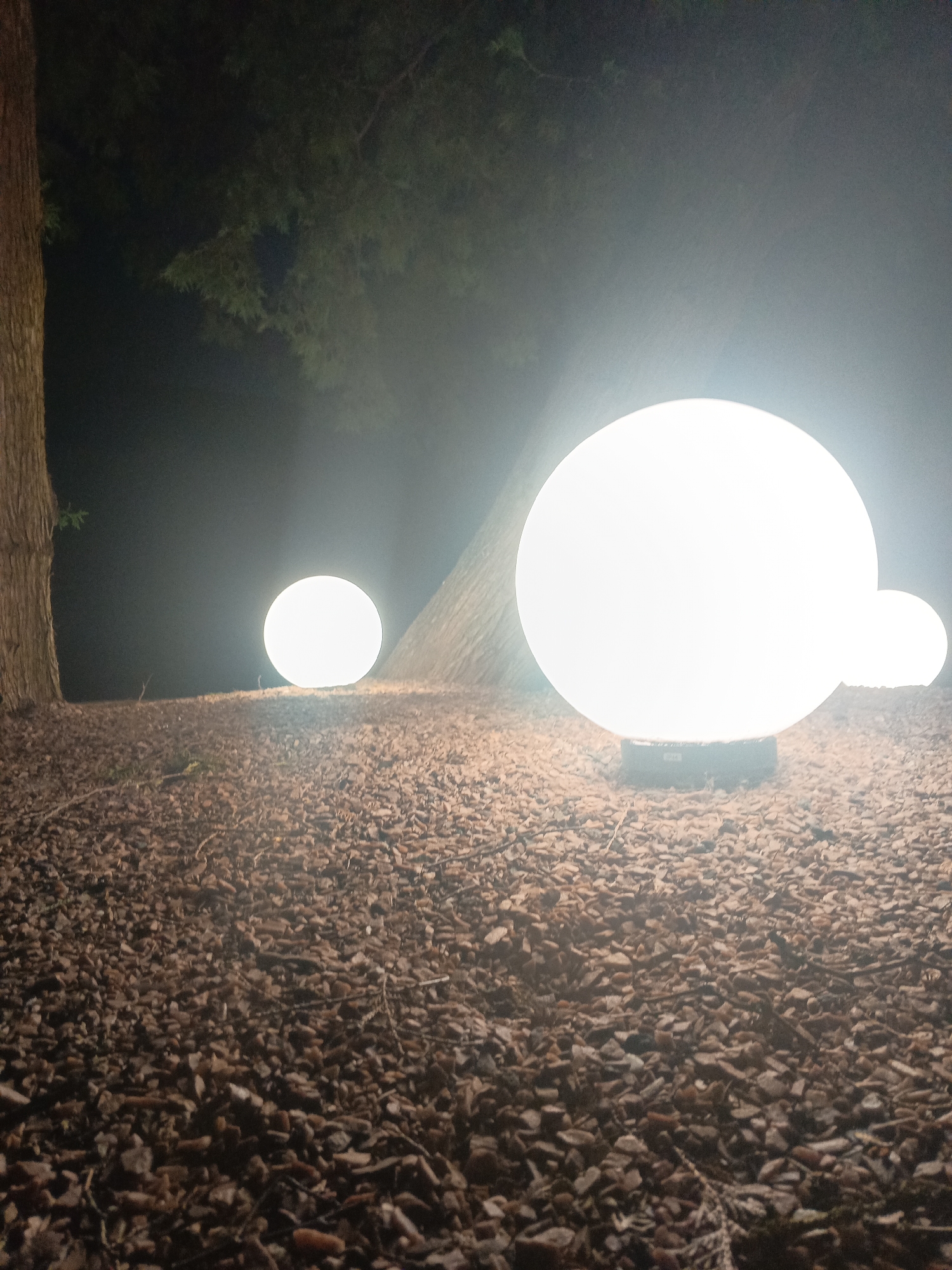 The image depicts an outdoor scene at night, possibly in Kniahynynok, Ukraine. The ground is covered in a thick layer of wood chips or mulch, with some scattered twigs and leaves. Several large, spherical, white light fixtures are illuminated, casting a bright glow and creating a foggy or hazy atmosphere around them. The largest light fixture is in the foreground, to the right of a tree trunk. To the left of the large light fixture, there is a smaller, less bright light fixture. In the middle ground, another spherical light fixture is visible, further back and to the left. The background is dark, with the silhouette of tree branches visible against the diffused light. A large tree trunk is prominent on the left side of the frame. The overall impression is one of an illuminated outdoor space, possibly a park or garden, set up for an event or ambiance. There are no people or animals visible in the image.