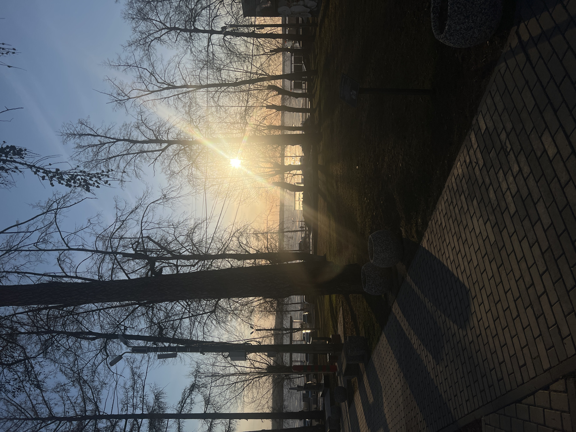The photograph depicts a park in Votkinsk, Russia, at sunset. Trees line the edge of a body of water, with their bare branches reaching towards the sky. The setting sun is positioned behind the trees, creating a bright glare and casting long shadows across the ground. A paved brick walkway is visible along the right side of the frame, with grass and a few decorative stone containers to the left of the path. The sky is a gradient of blue and orange hues due to the sunset. There are lampposts visible among the trees, along with some structures on the water's edge in the distance. No people are immediately visible in the image.