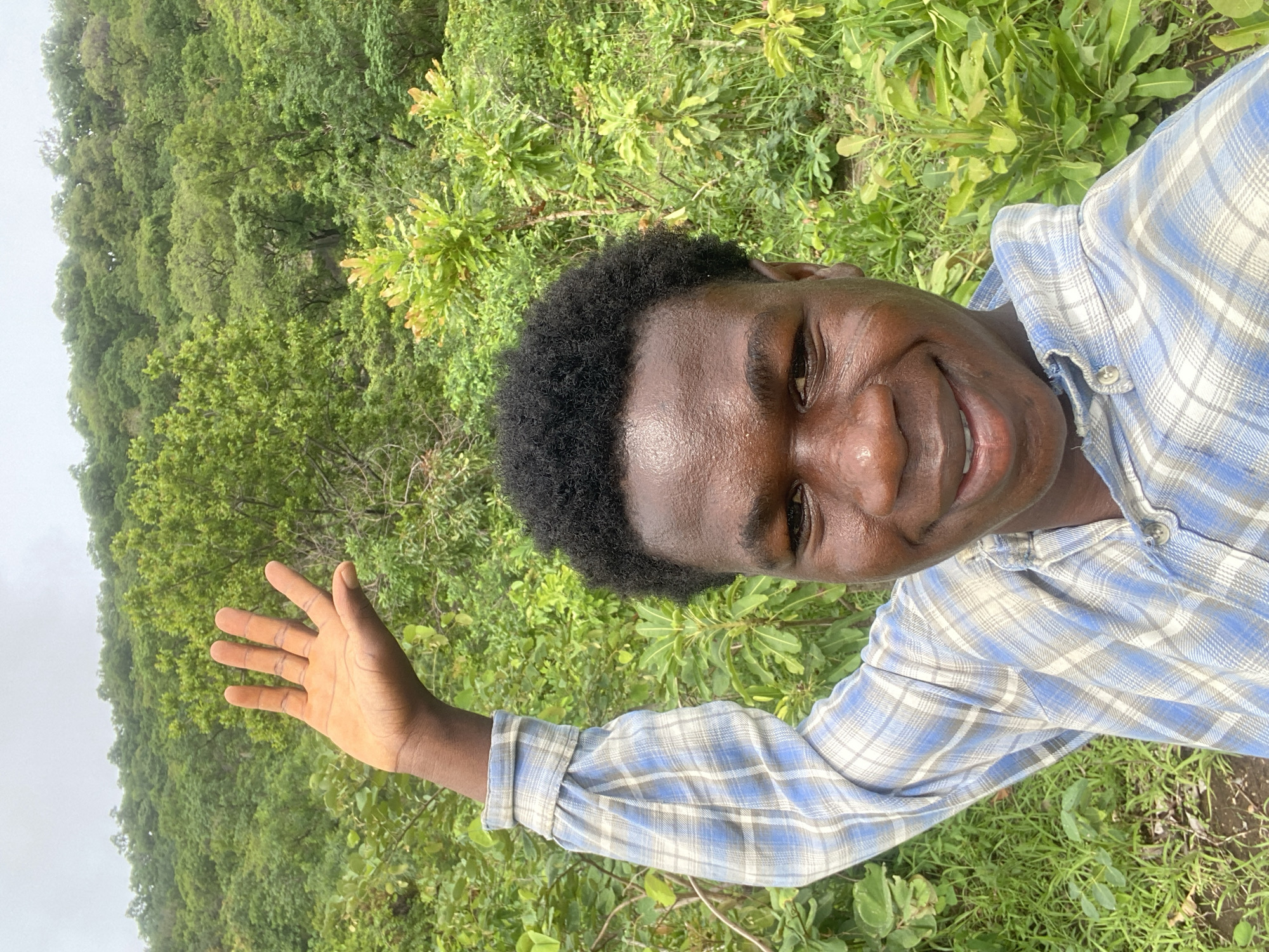 A person is standing in a field of lush, green vegetation. Behind them, a dense forest stretches into the distance. The person is wearing a light blue and white plaid shirt. They are smiling and holding up their hand. The location appears to be in a natural environment, possibly outside of the city center. No specific details indicate that this image was taken in the city of Mararaba, Nigeria.