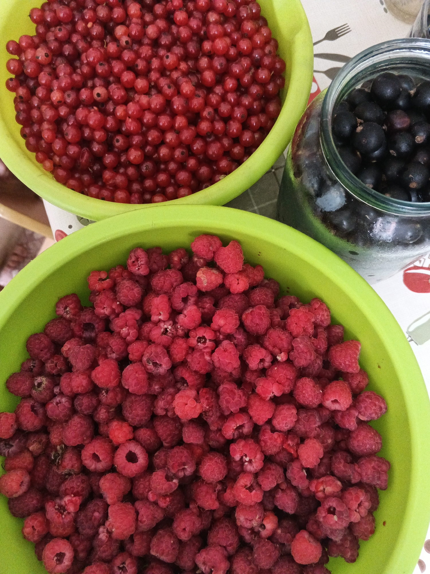 In Medvedyovka, Russia, on a table covered with a patterned tablecloth, a top-down view captures an arrangement of freshly harvested berries. Two bright green plastic bowls overflow with fruit. The upper bowl contains a dense mass of vibrant red currants, their small, round bodies closely packed. To the right of the red currants, a clear glass jar is filled with dark, almost black, currants, some of which appear slightly shriveled. The lower, larger green bowl is filled with an abundance of ripe raspberries, their characteristic bumpy texture and deep red color creating a striking visual contrast with the currants. The raspberries are piled high, with many individual berries clearly visible. The lighting suggests an indoor setting, possibly a kitchen or dining area, with the overall scene focused on the rich colors and textures of the assorted berries.