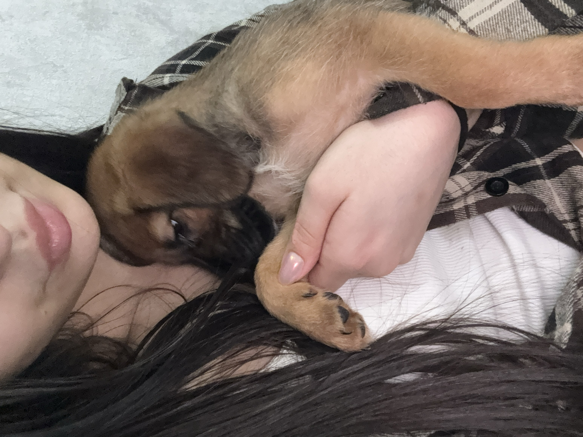 A close-up, intimate photograph captures a person embracing a small puppy in an indoor setting. The left side of the person's face, including their cheek, slightly parted lips, and chin, is visible on the left edge, alongside a mass of long, dark hair. They are wearing a brown, beige, and black plaid shirt, with a white garment visible underneath. One of the person's hands, adorned with light, shimmery nail polish, gently supports the puppy.
The puppy, featuring soft, light brown and tan fur with darker brown or black markings around its face and paw pads, is nestled comfortably against the person's body and arm. It appears to be sleeping or resting peacefully, with its head tucked in and eyes closed or partially obscured. Its small body stretches across the frame.
The overall mood of the image conveys warmth, tenderness, and affection between the person and the puppy. The setting appears cozy and private, likely a home. There is no visible text in the image. While the provided context indicates the location as Birobidzhan, Russia, there are no specific visual cues within the image itself to confirm this.