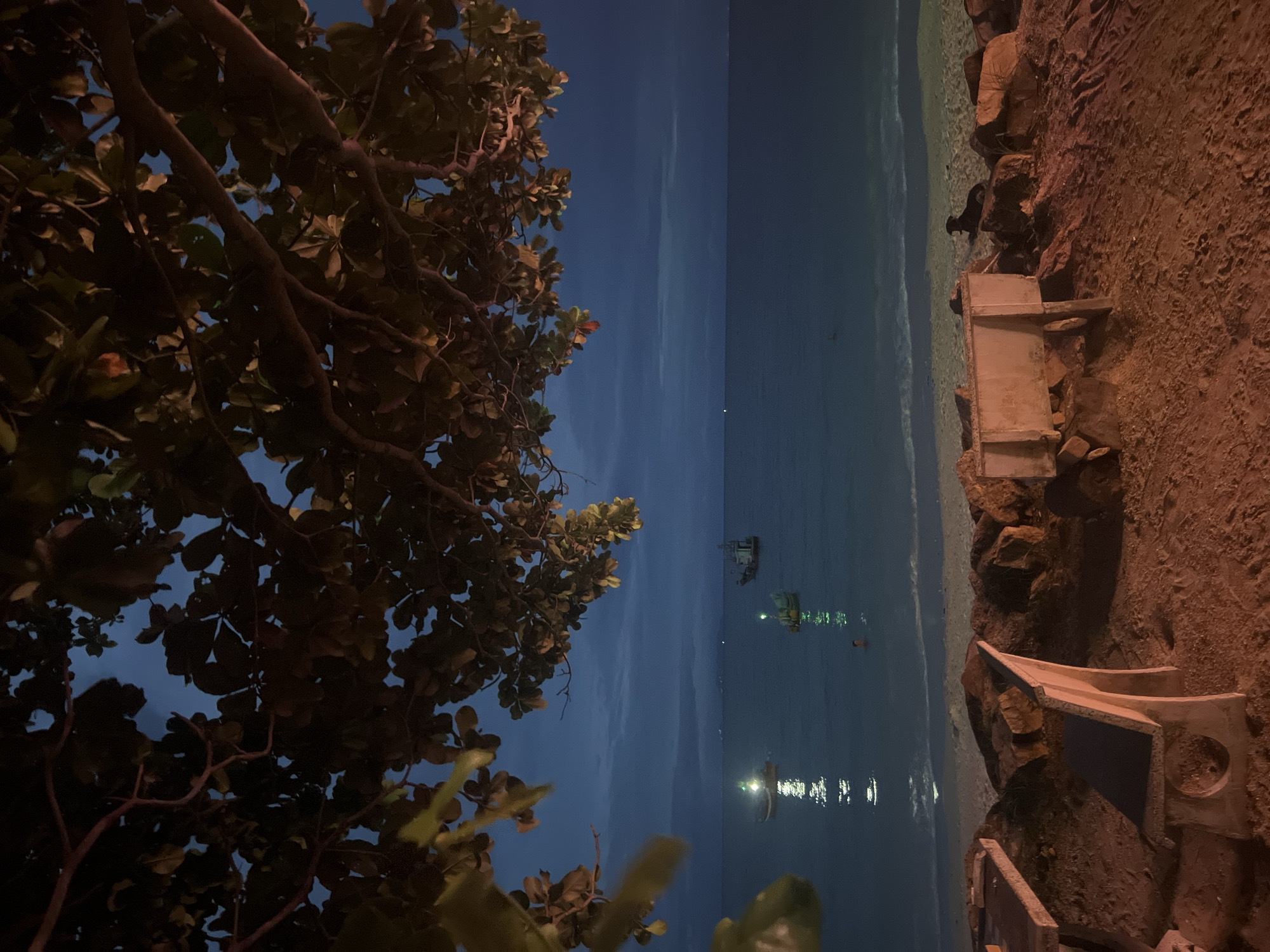 This is a nighttime photograph taken outdoors in a tropical location, likely a beach or waterfront area in Ko Pha-ngan, Thailand. The image is oriented vertically, with the sky at the top and the ground at the bottom.
On the left side of the frame, there is a prominent foreground of dark foliage from a large tree, with its branches and leaves silhouetted against the twilight sky. Some of the leaves are illuminated by an unseen light source, giving them a warm, orange-brown hue.
The middle and right portions of the image depict a body of water, likely the ocean, stretching towards the horizon. Two boats with lights are visible on the water, their reflections shimmering on the surface. The water is a deep blue-gray, indicative of dusk or early night.
Along the right edge of the frame, there is a rocky, sandy embankment. On this embankment, there are several concrete structures, possibly seating areas or low walls, which appear weathered. The ground here is a reddish-brown color.
The time of day is clearly nighttime, with the sky showing the deep blue of twilight. The lighting suggests an artificial light source is illuminating parts of the scene, possibly from the boats or from nearby infrastructure. The overall mood is serene and tranquil, with the gentle lapping of waves and the distant lights creating a peaceful atmosphere. No text is visible in the image.