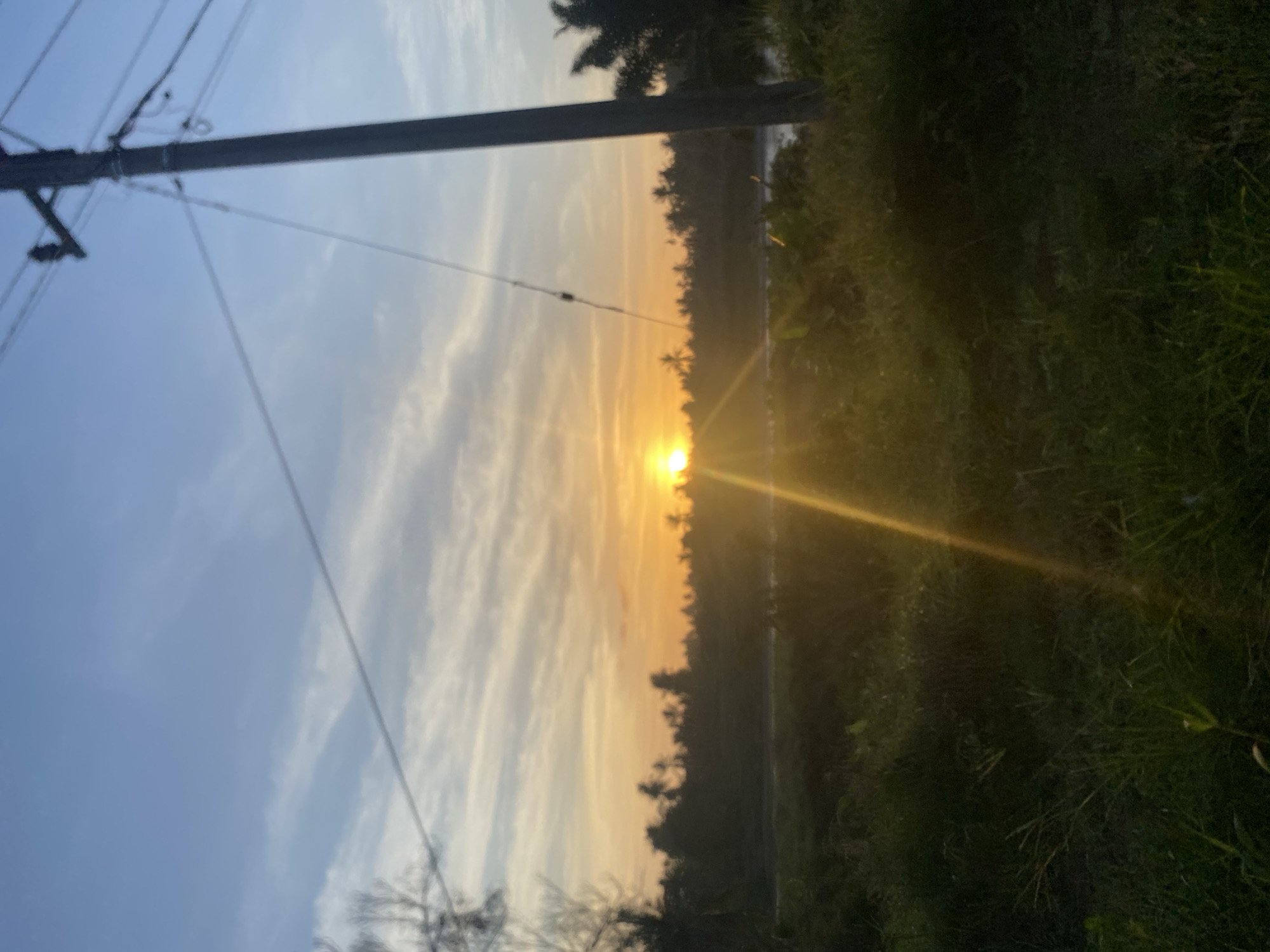A low-angle photograph, rotated 90 degrees counterclockwise, shows a sunset in what appears to be a rural area near Blang Mee, Indonesia. The sun is visible at the horizon line, appearing as a bright, small orb casting light rays. The sky is a gradient of blue and yellow due to the sunset. Wispy clouds are scattered in the sky. In the foreground, a wooden utility pole with attached wires stretches from the upper left towards the bottom center of the image. The foreground on the right side of the image consists of dense green vegetation. The middle ground shows silhouetted trees and other plant life against the setting sun. The photograph is slightly out of focus. No people are visible.