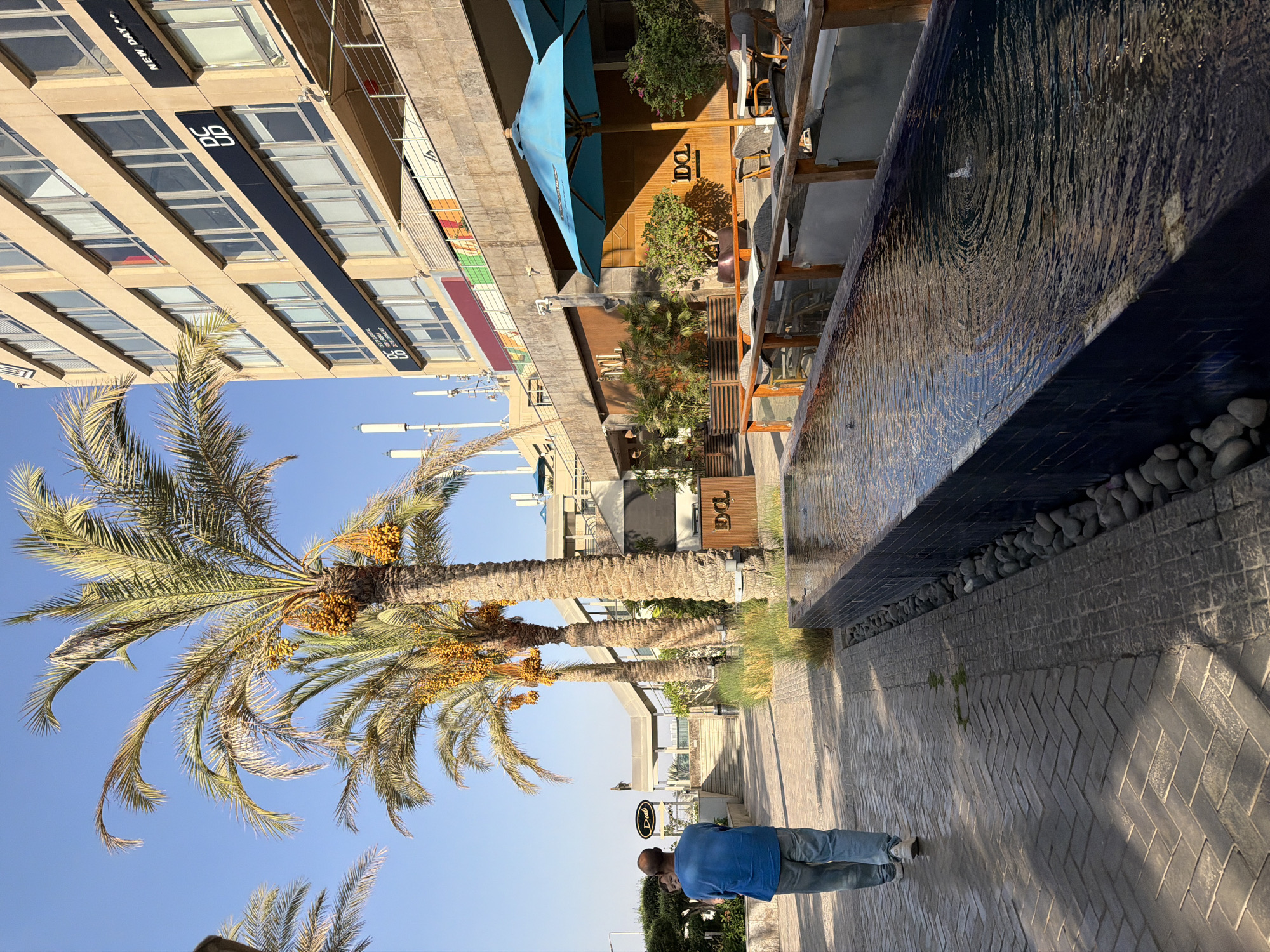 The image captures a view of the walkway in the Zayed 2000 Compound, Egypt. A man wearing a blue shirt and grey jeans walks away from the camera on a brick-patterned walkway. To his left are several tall palm trees with yellow dates hanging from them, and beyond them, a multi-story building with many windows. To his right, a long, dark rectangular water feature with ripples and a small fountain is visible. In the background, there is an outdoor seating area with blue umbrellas and tables. The sky is clear and blue.